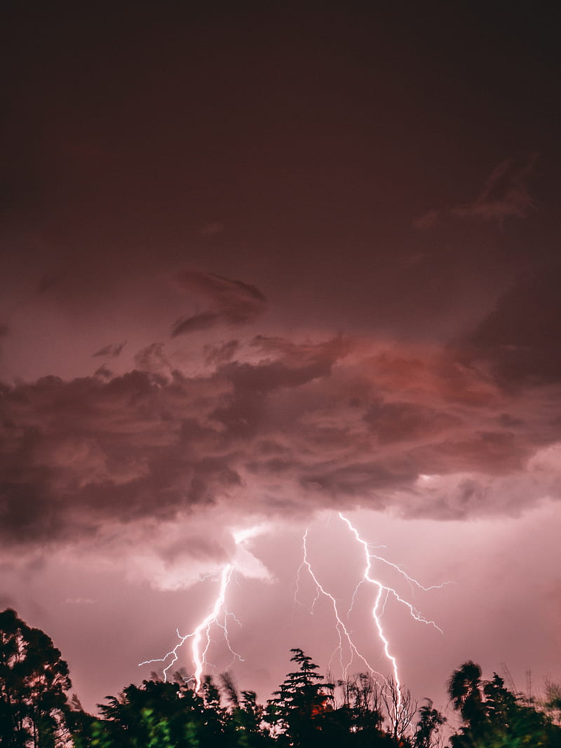 800x1067 Lightning, thunderstorm, pink, trees, HD phone wallpaper