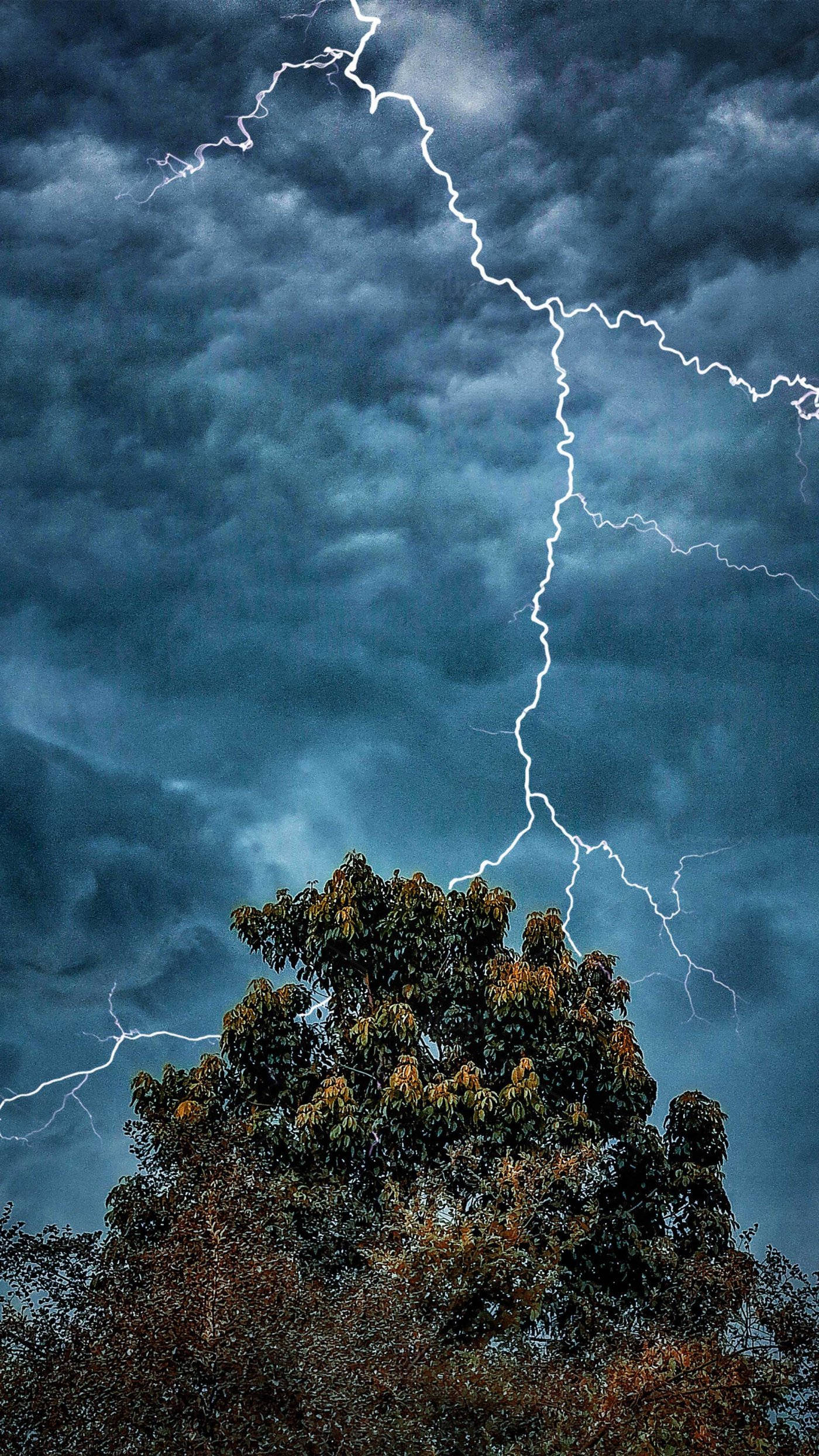 1400x2488 Download Thunderstorm Behind Tree Wallpaper