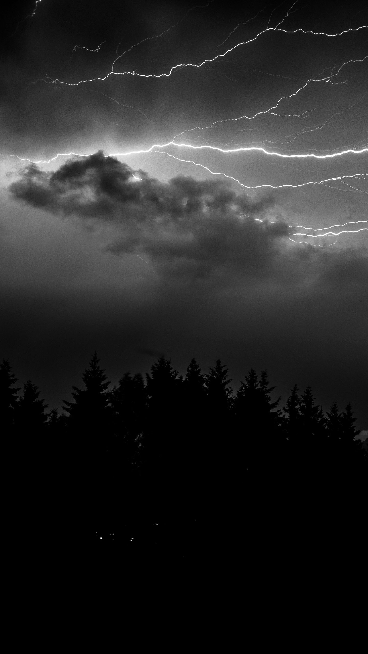 1440x2560 Download wallpaper 1440x2560 lightning, forest, spruce, bw qhd samsung galaxy s s edge, note, lg g4 HD background