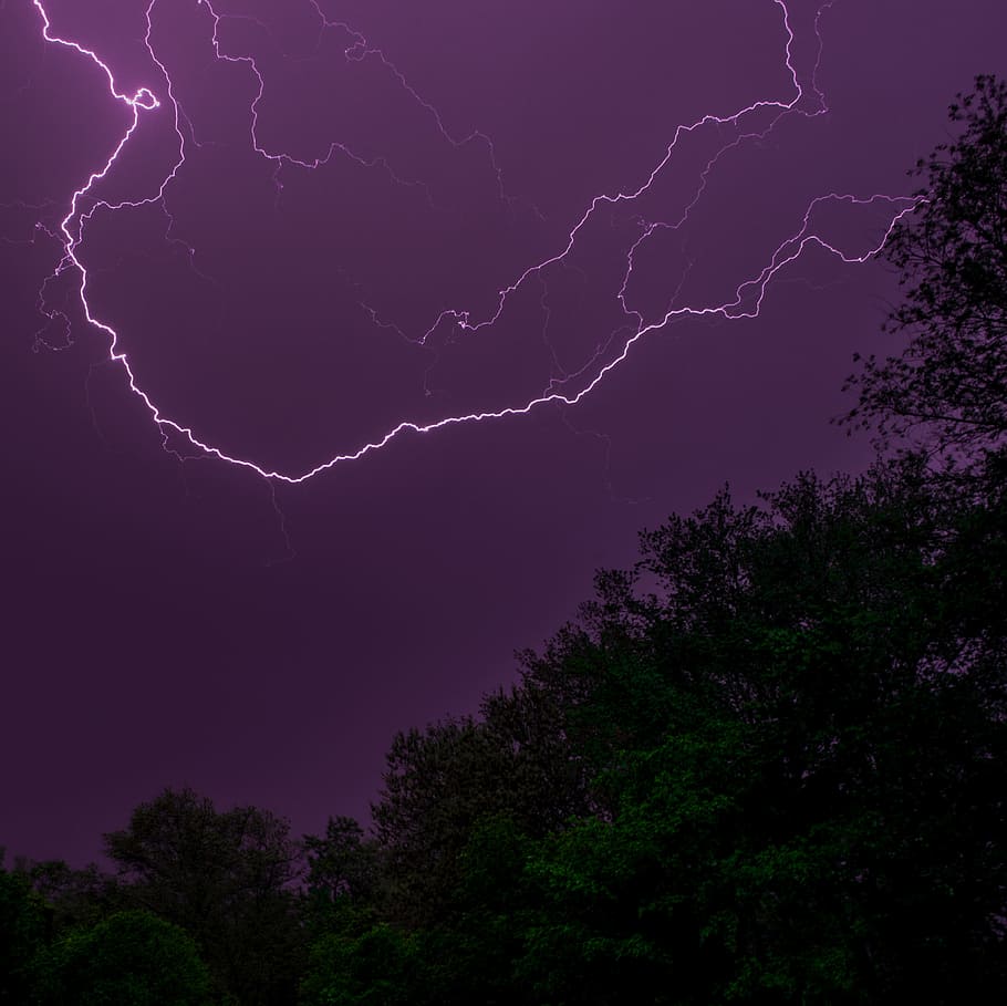 910x909 HD wallpaper: photo of trees during thunderstorms, green trees under lightning during nighttime