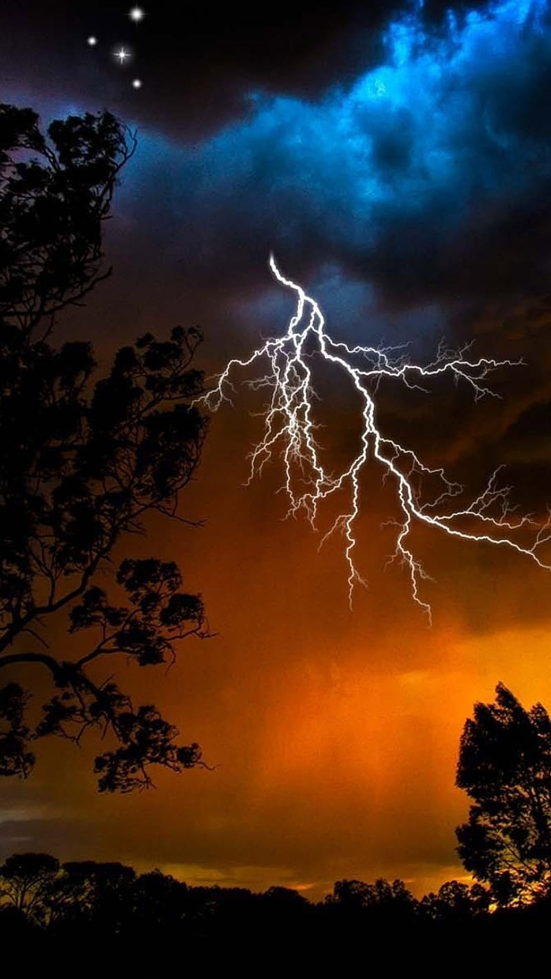 800x1422 Thunder, clouds, landscape, nature, storm, trees, HD phone wallpaper
