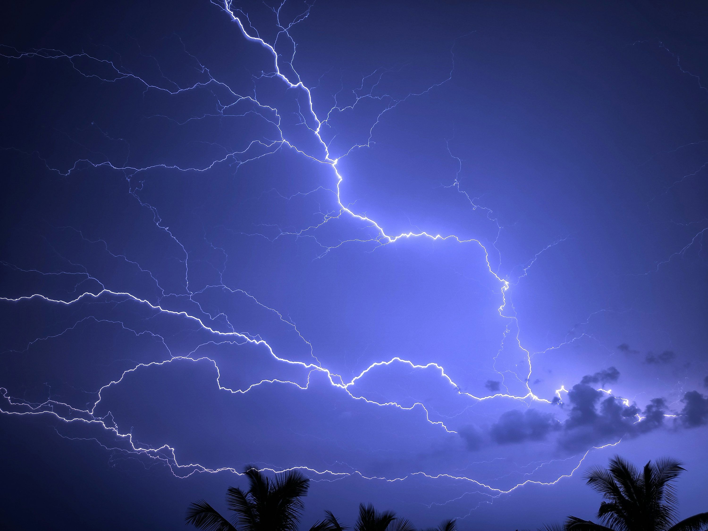 3000x2250 A lightning storm is seen over palm trees