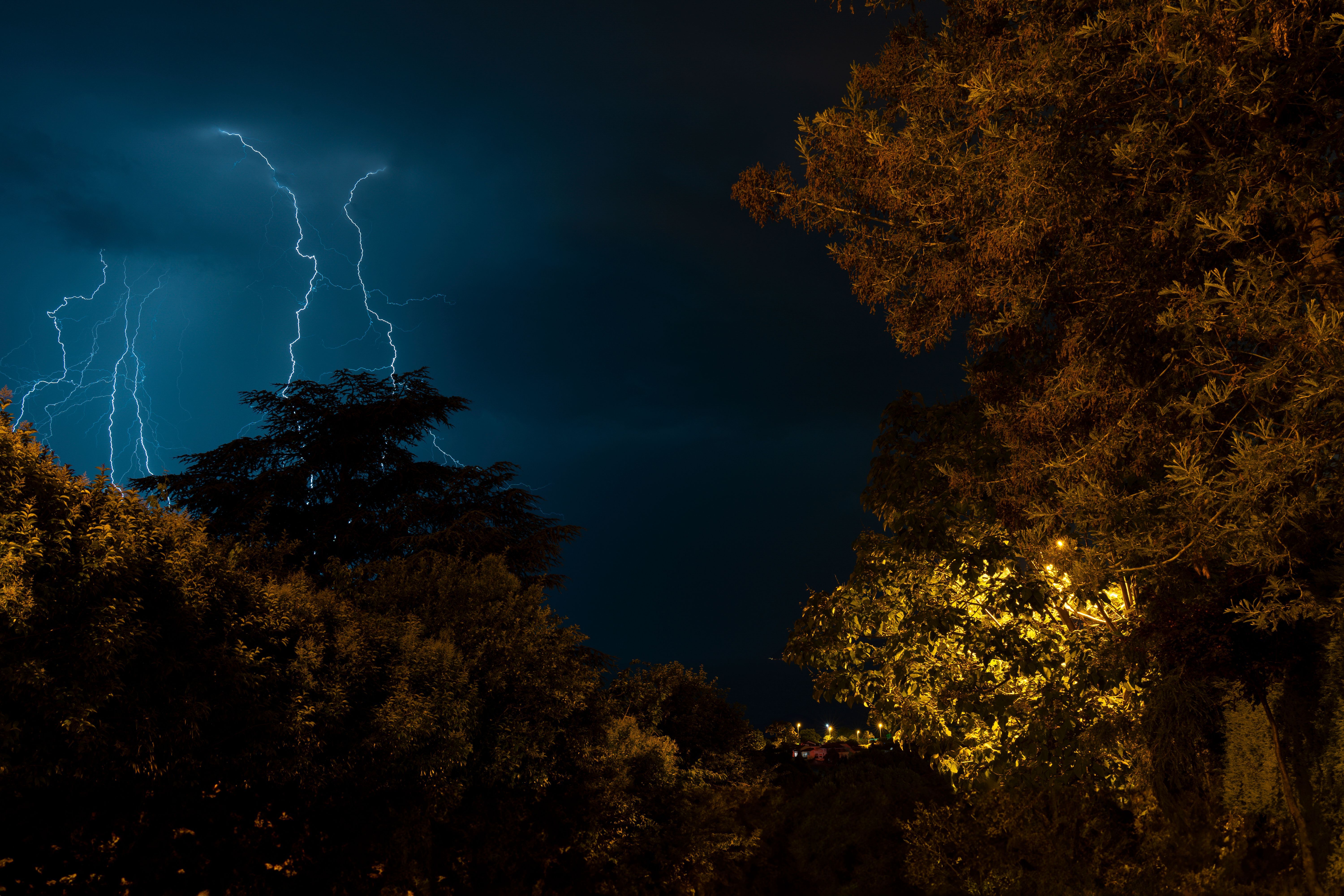 6000x4000 View of Trees and Lightning Strikes · Free