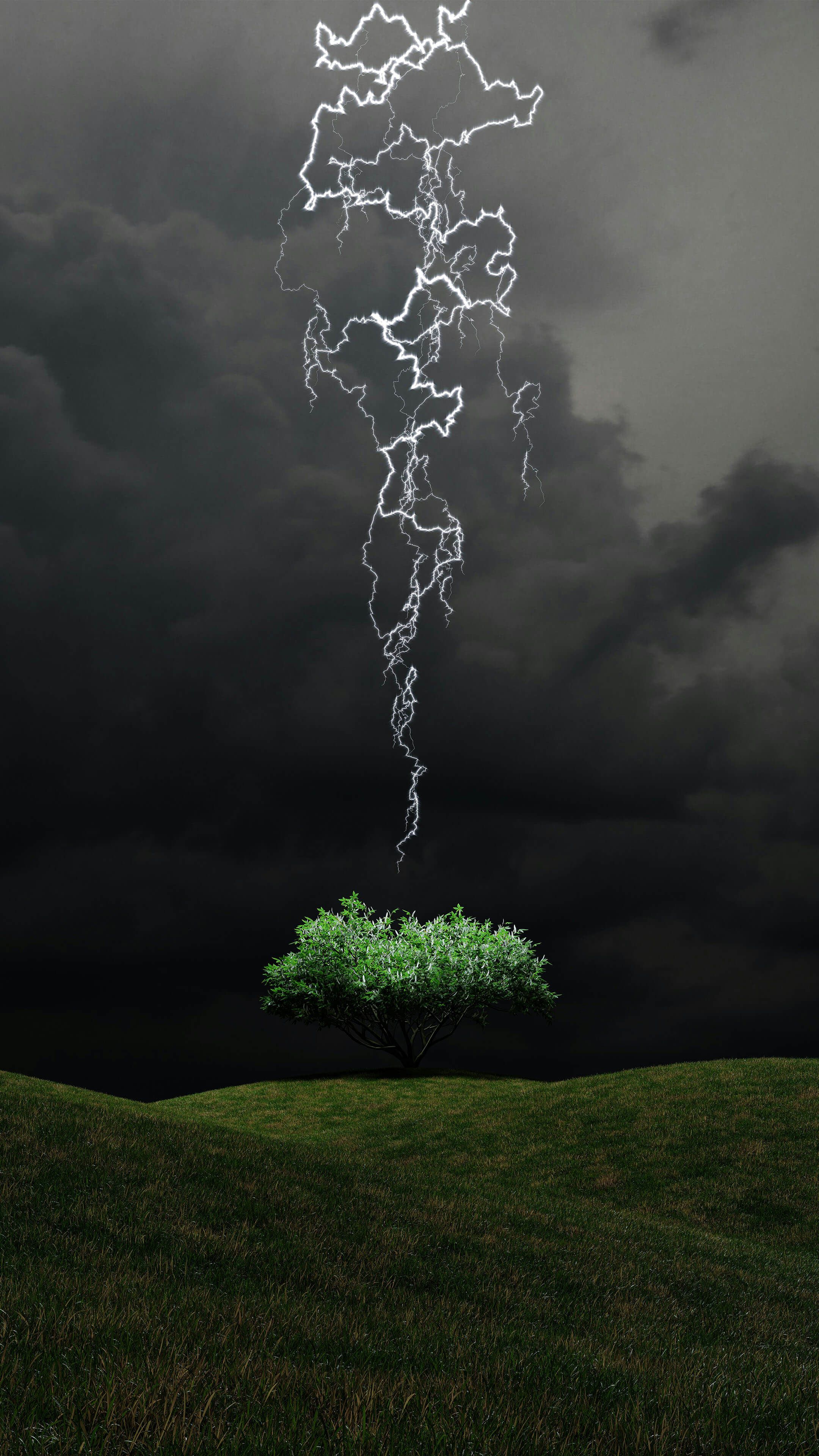 2160x3840 Lightning On The Tree Cloud 4K Ultra HD Mobile Wallpaper for iPhone & Android