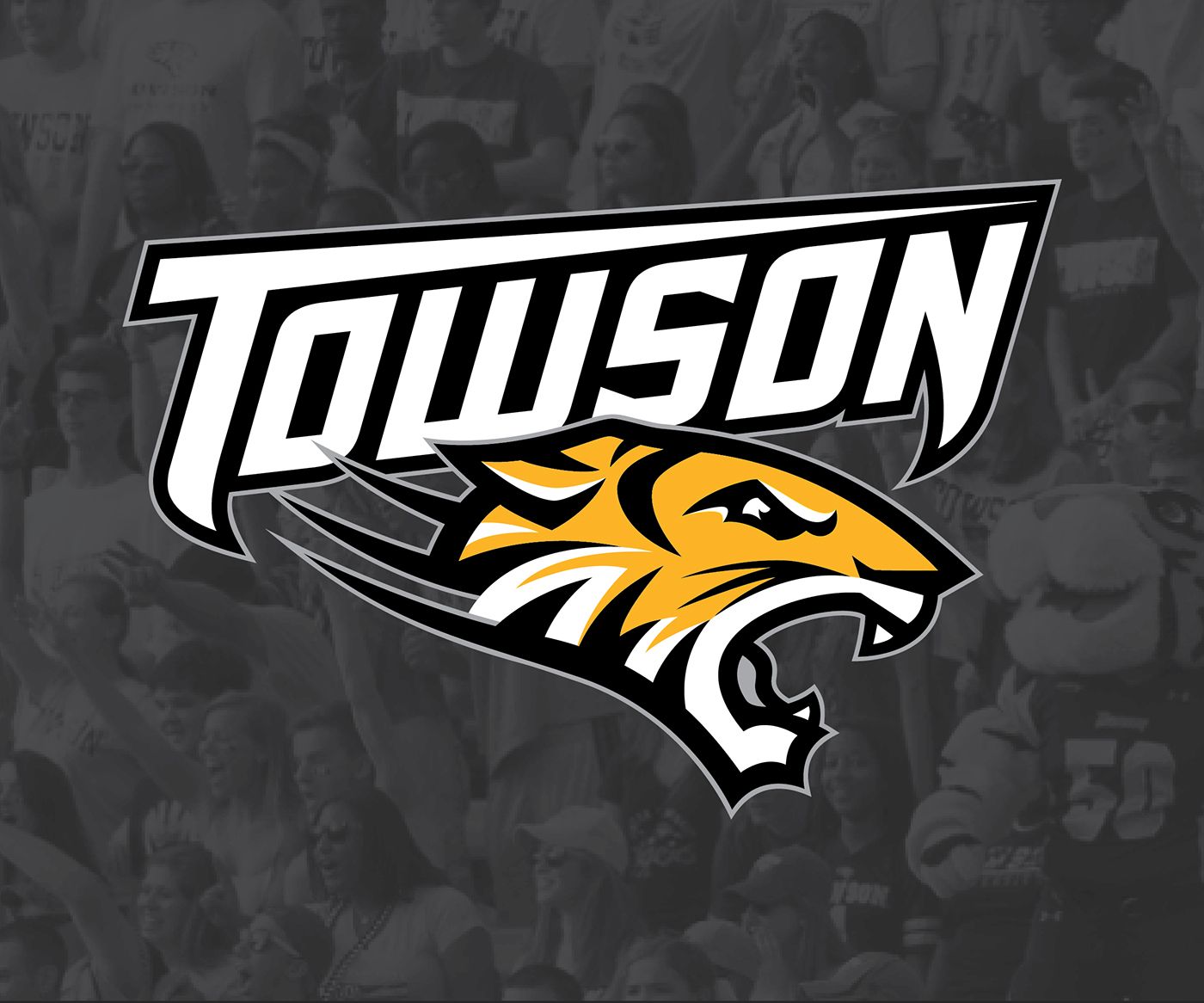 1400x1166 Towson University Athletics Rebrand (6). Image - Behance