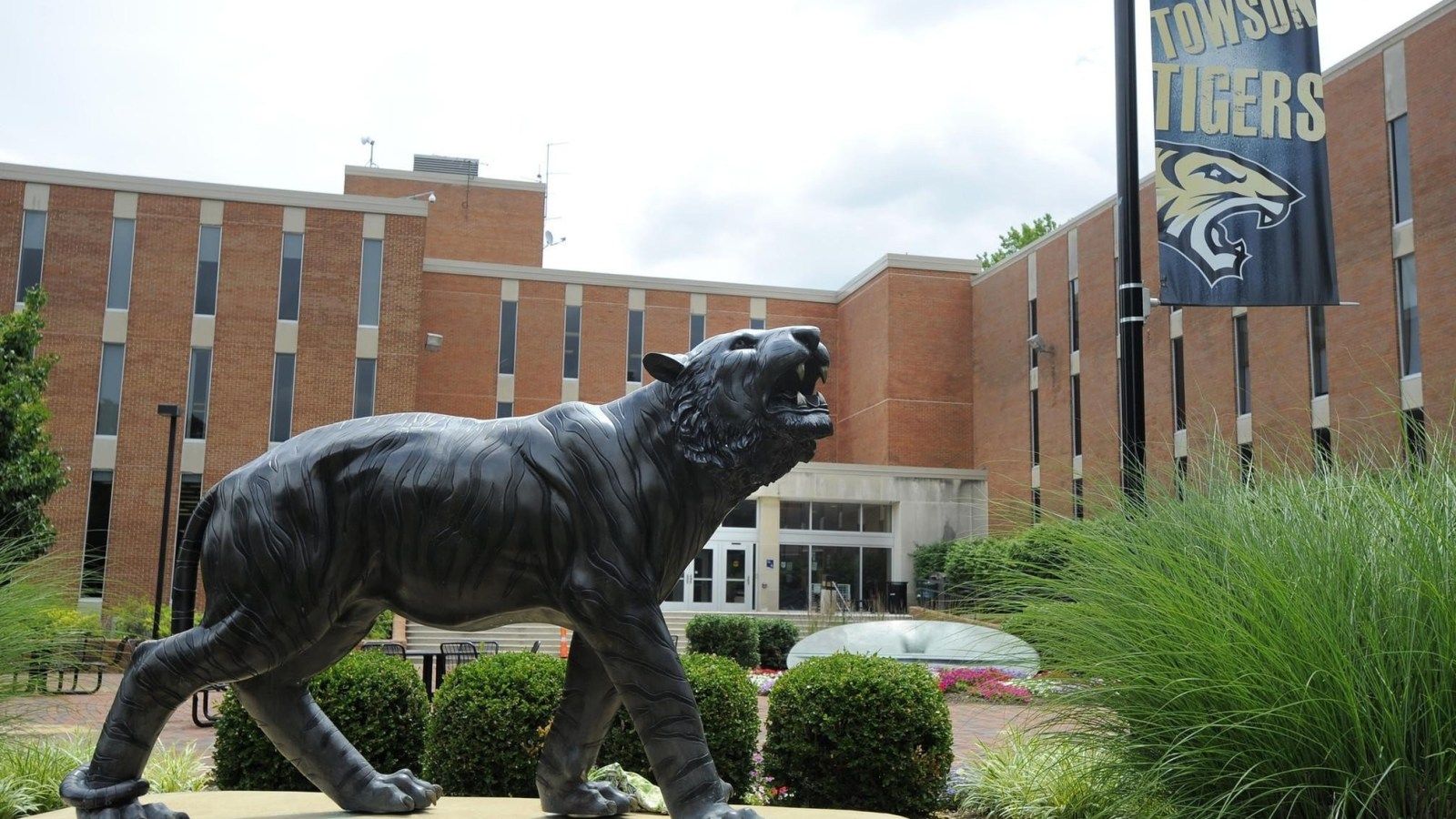 1600x900 Towson University athletics recognized by NCAA for fostering diversity and inclusion