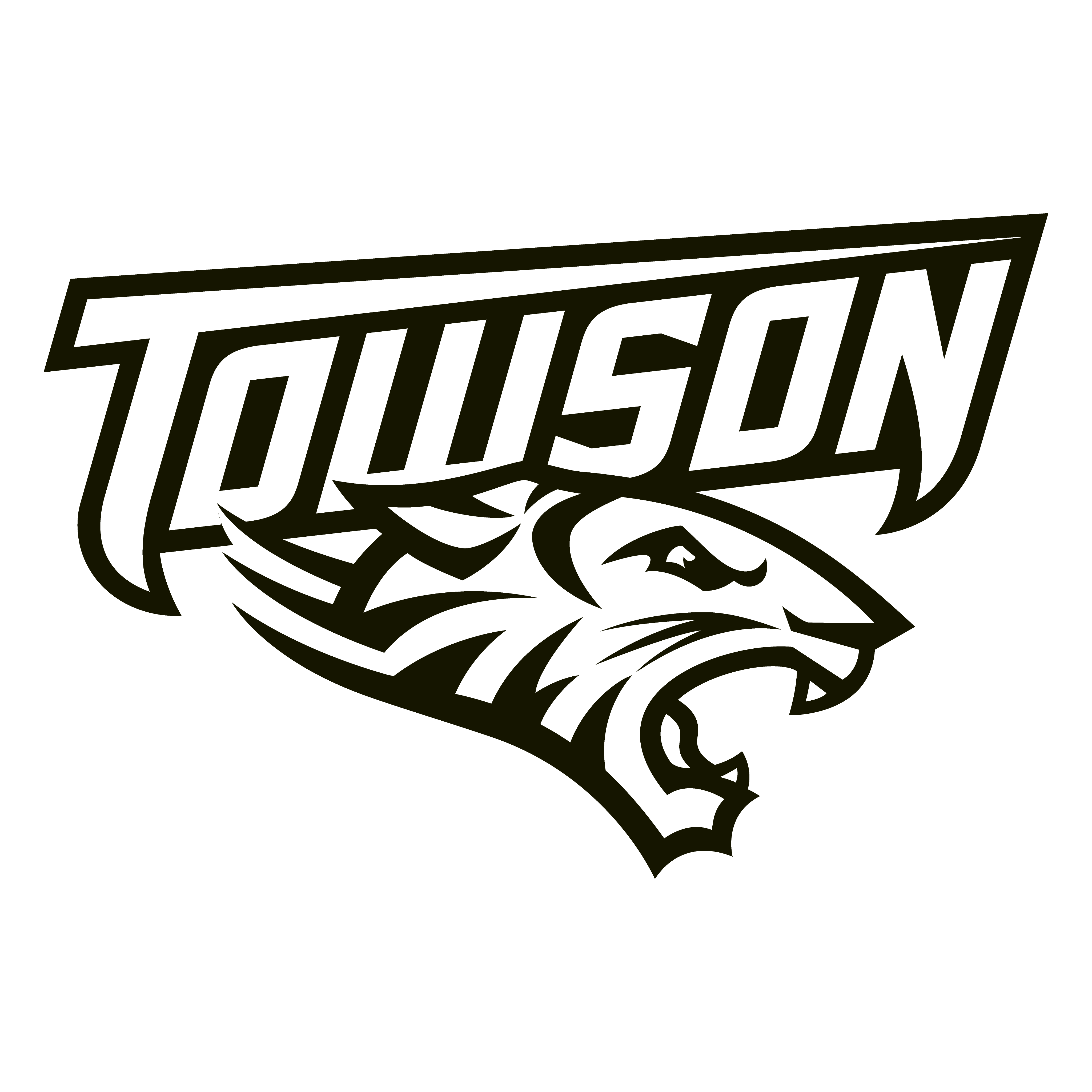 4096x4096 Towson Tigers Scores, Stats and Highlights