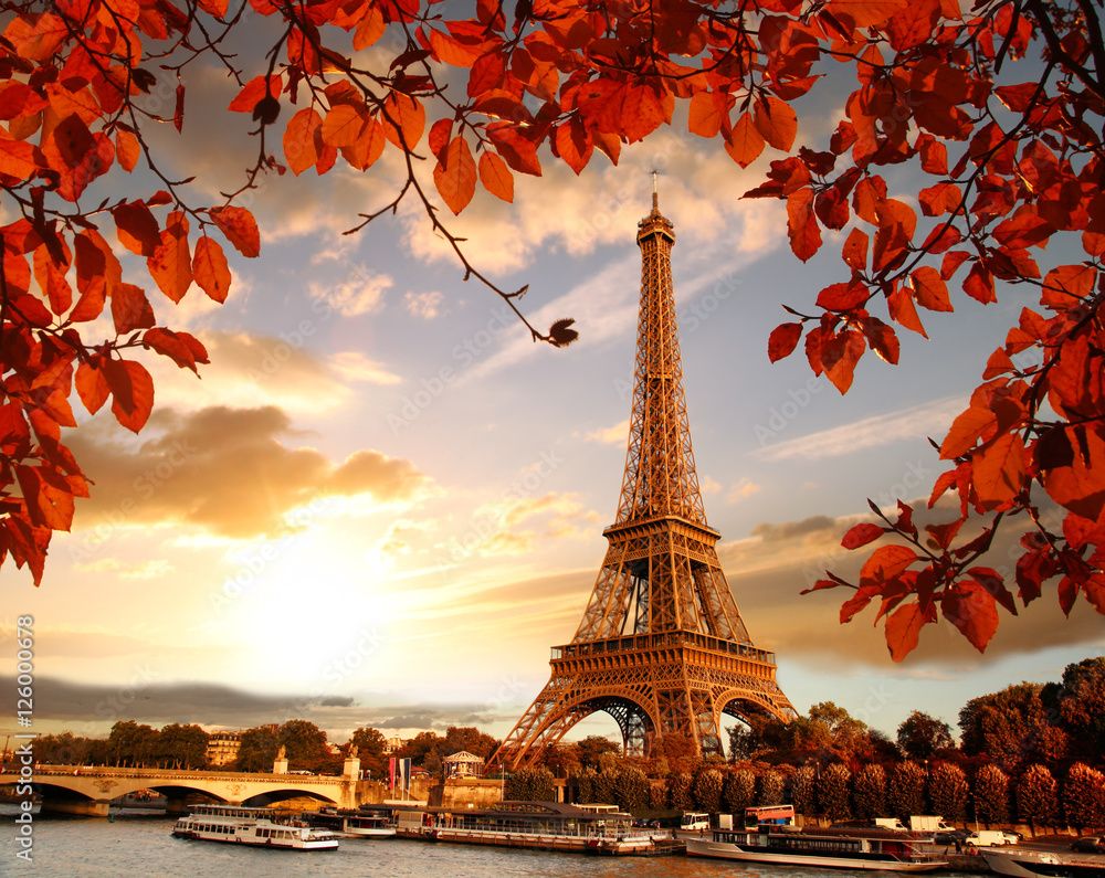 1000x795 Eiffel Tower with autumn leaves in Paris, France wall mural wallpaper