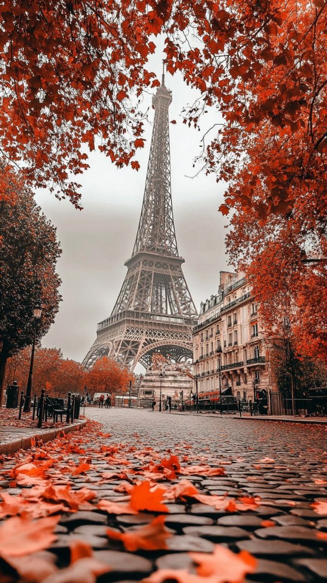 673x1200 Autumn in Paris