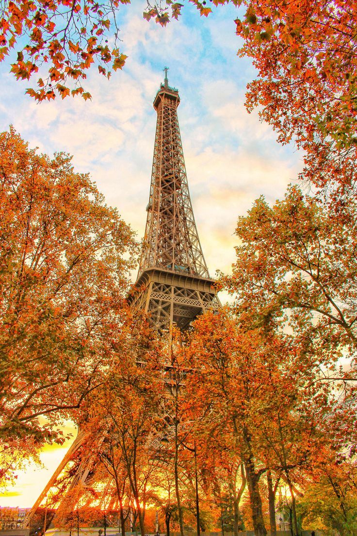 736x1104 Eiffel Tower, Paris in Autumn