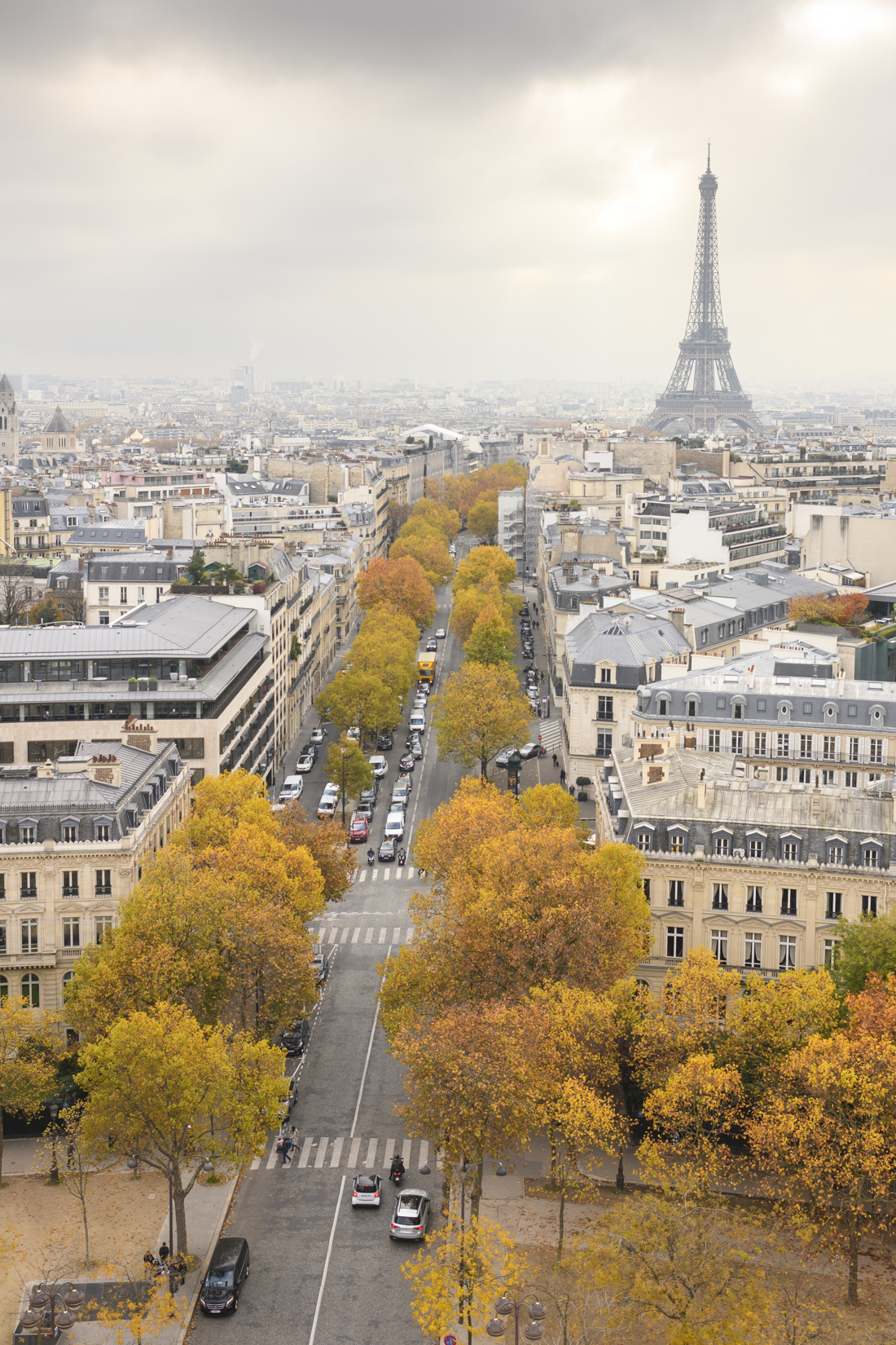 1100x1650 Farewell to a Golden Paris Autumn