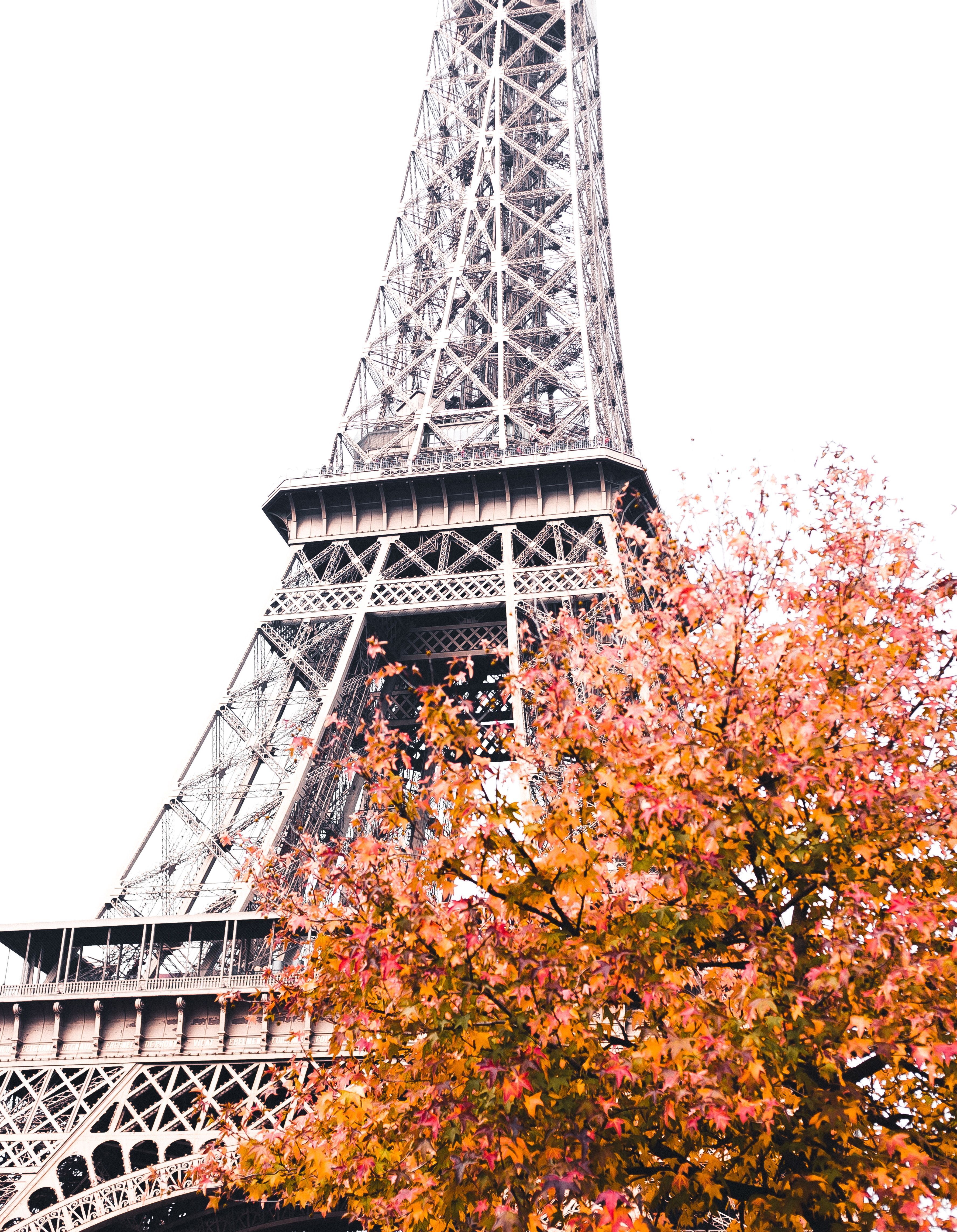 3550x4569 Close Up Shot Of The Eiffel Tower · Free