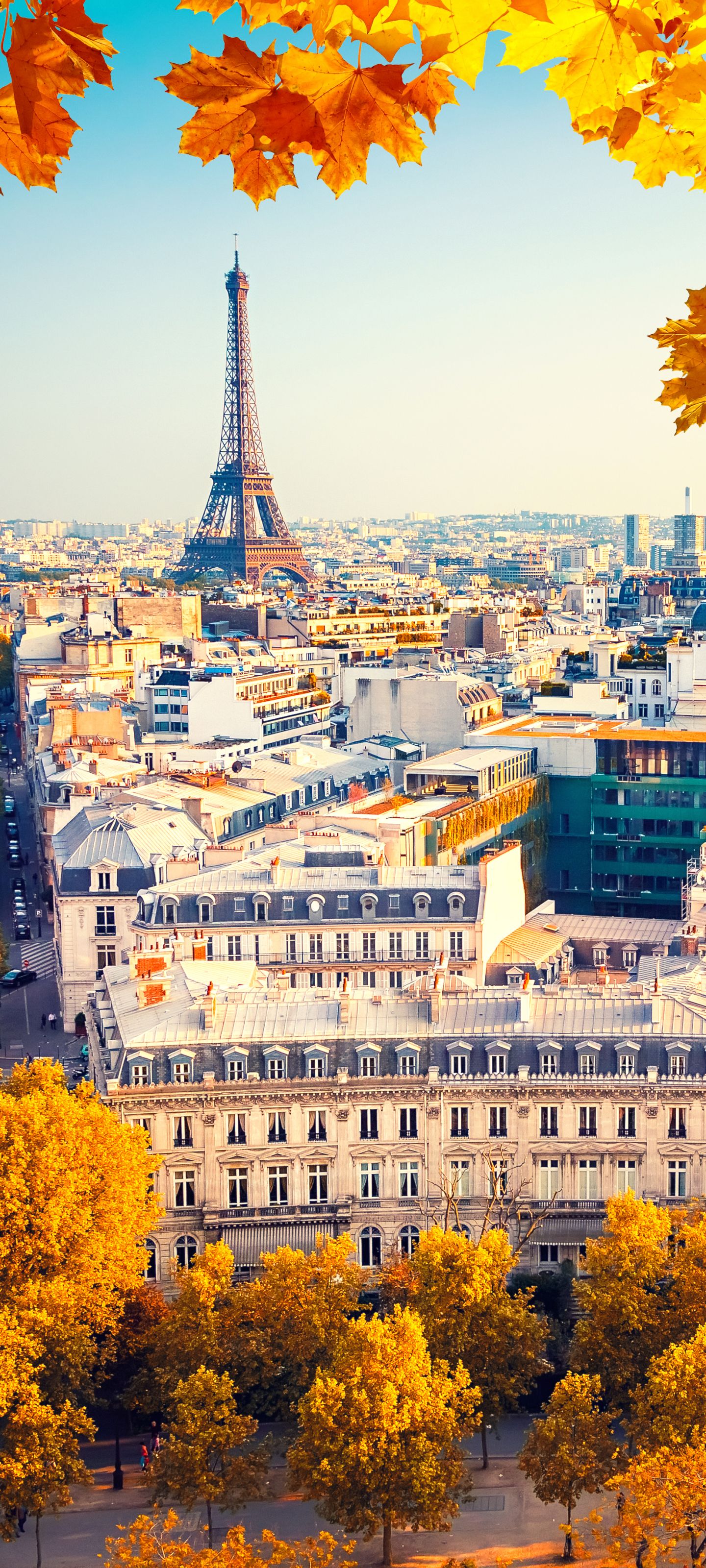 1440x3200 Phone wallpaper: Paris, Man Made, City, France, Cityscape, Fall, Eiffel Tower, Street, Building, Cities 1170062