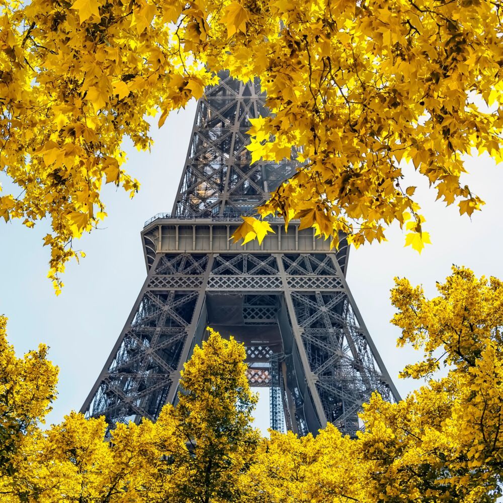 1000x1000 Autumn in Paris, Eiffel Tower, MANJIK PICTURES · Art photographs · YellowKorner