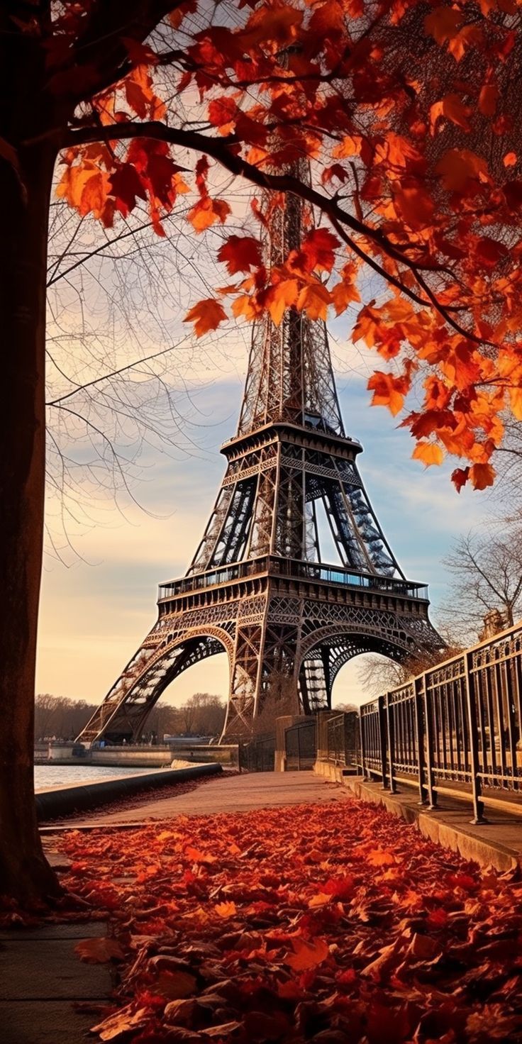 736x1472 Gorgeous Free Fall Phone Wallpaper