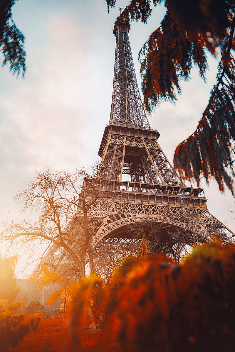 800x1200 Peek a Boo, Vithurshan, autumn, best, colourful, eiffel, eiffel tower, europe, HD phone wallpaper