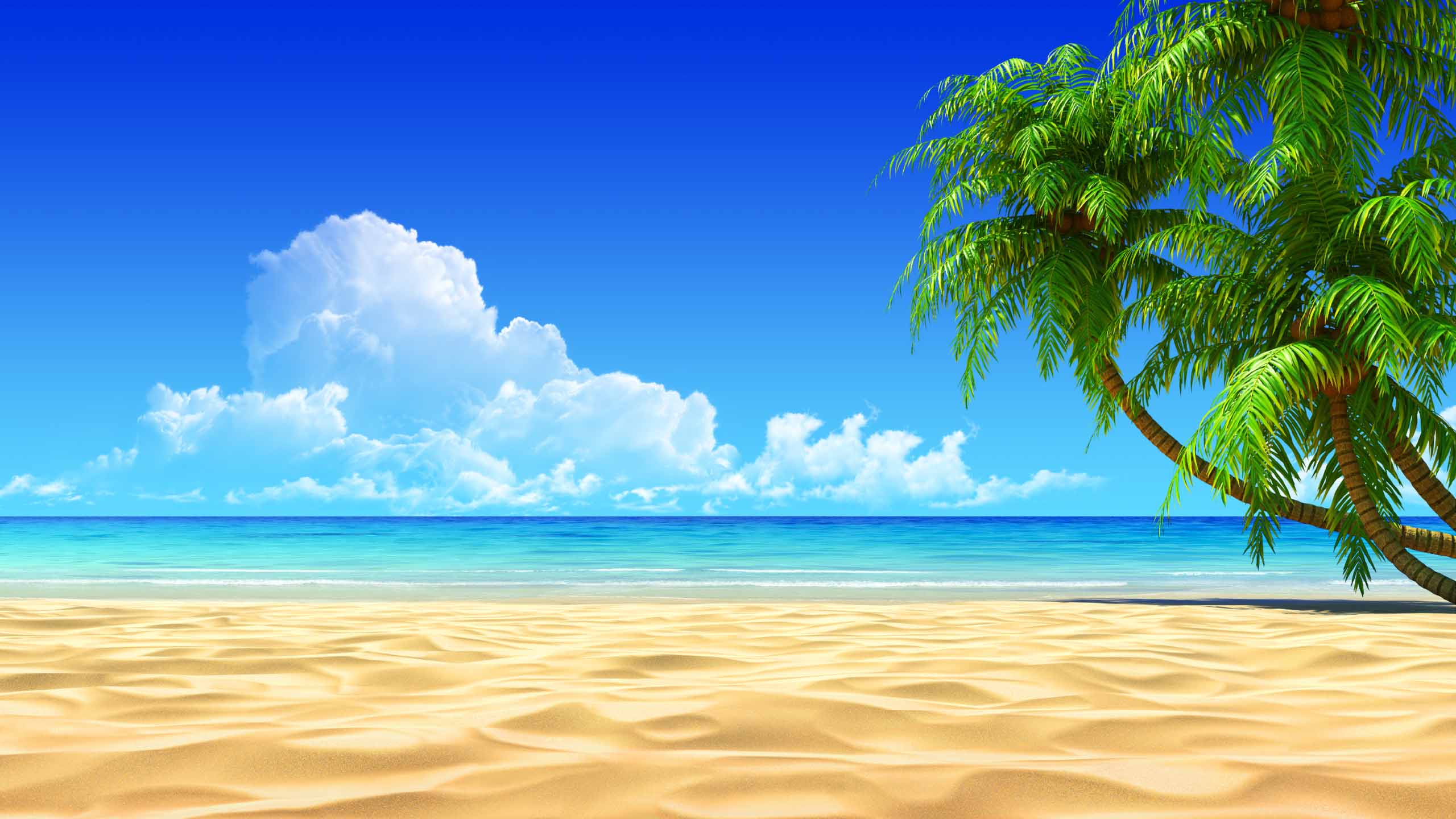 2560x1440 Good Energy Reading for the Beach?