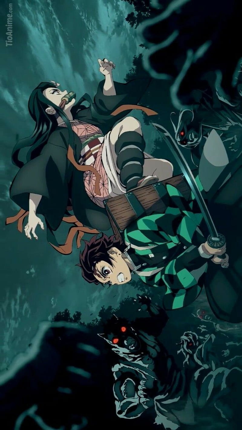 800x1422 Kimetsu no Yaiba, demon slayer, HD phone wallpaper