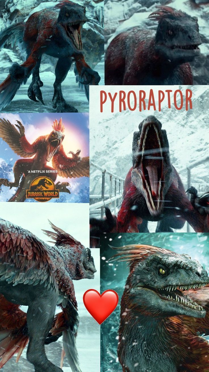 736x1308 Pyroraptor. Jurassic park poster, Dinosaur videos, Jurassic world wallpaper