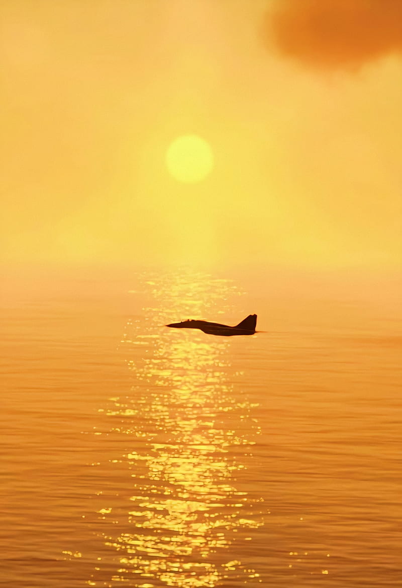 800x1168 Mig- airforce, jet, jets, russia, sunrise, HD phone wallpaper