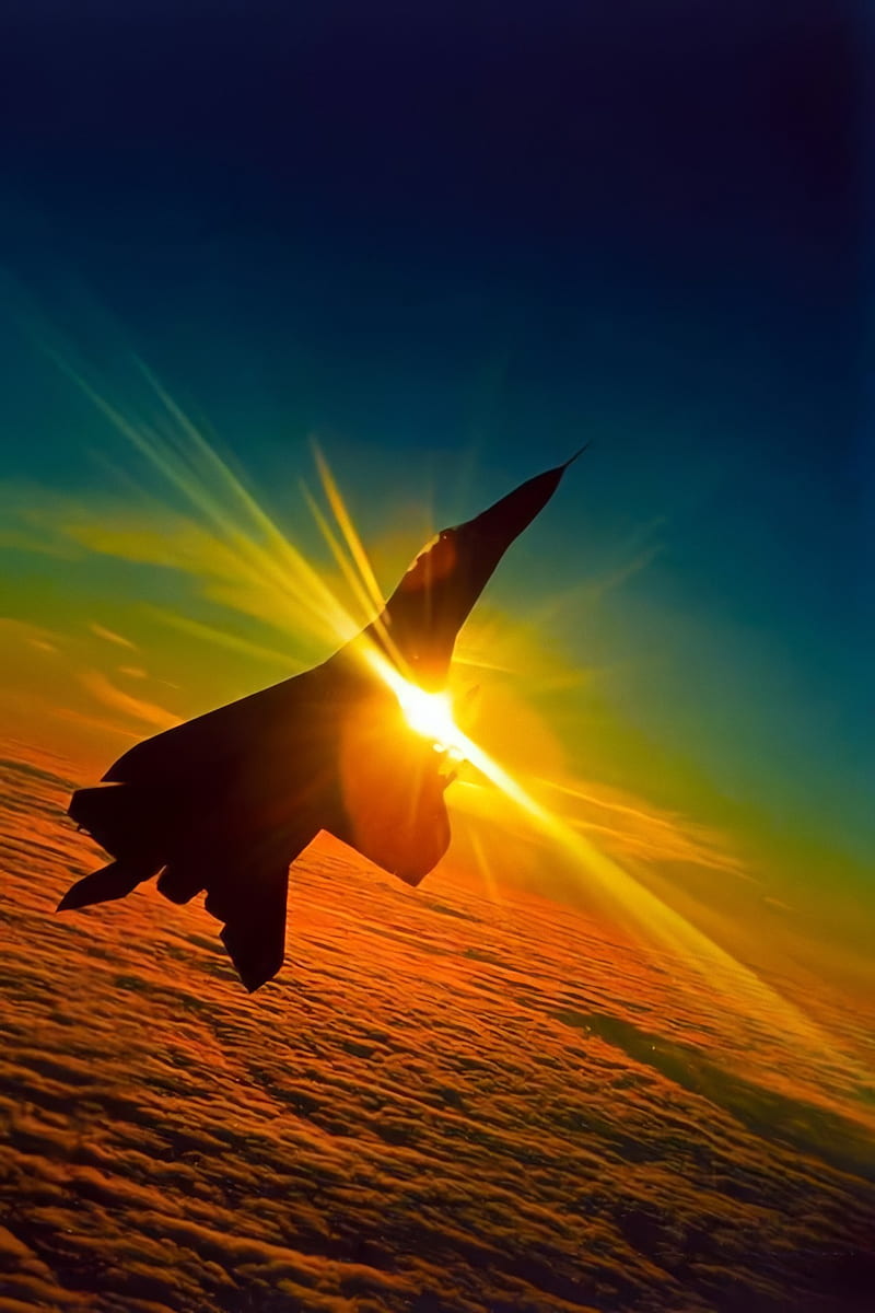 800x1200 MIG- airforce, jets, mig, plane, planes, russia, russian, wing, HD phone wallpaper