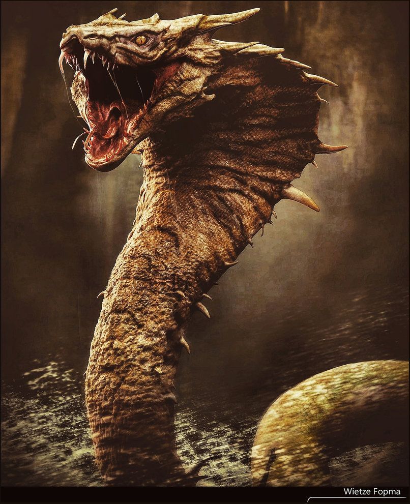 806x991 Apophis