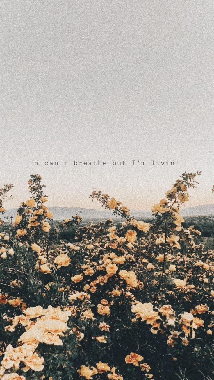 736x1308 Tumblr Aesthetic Wallpaper