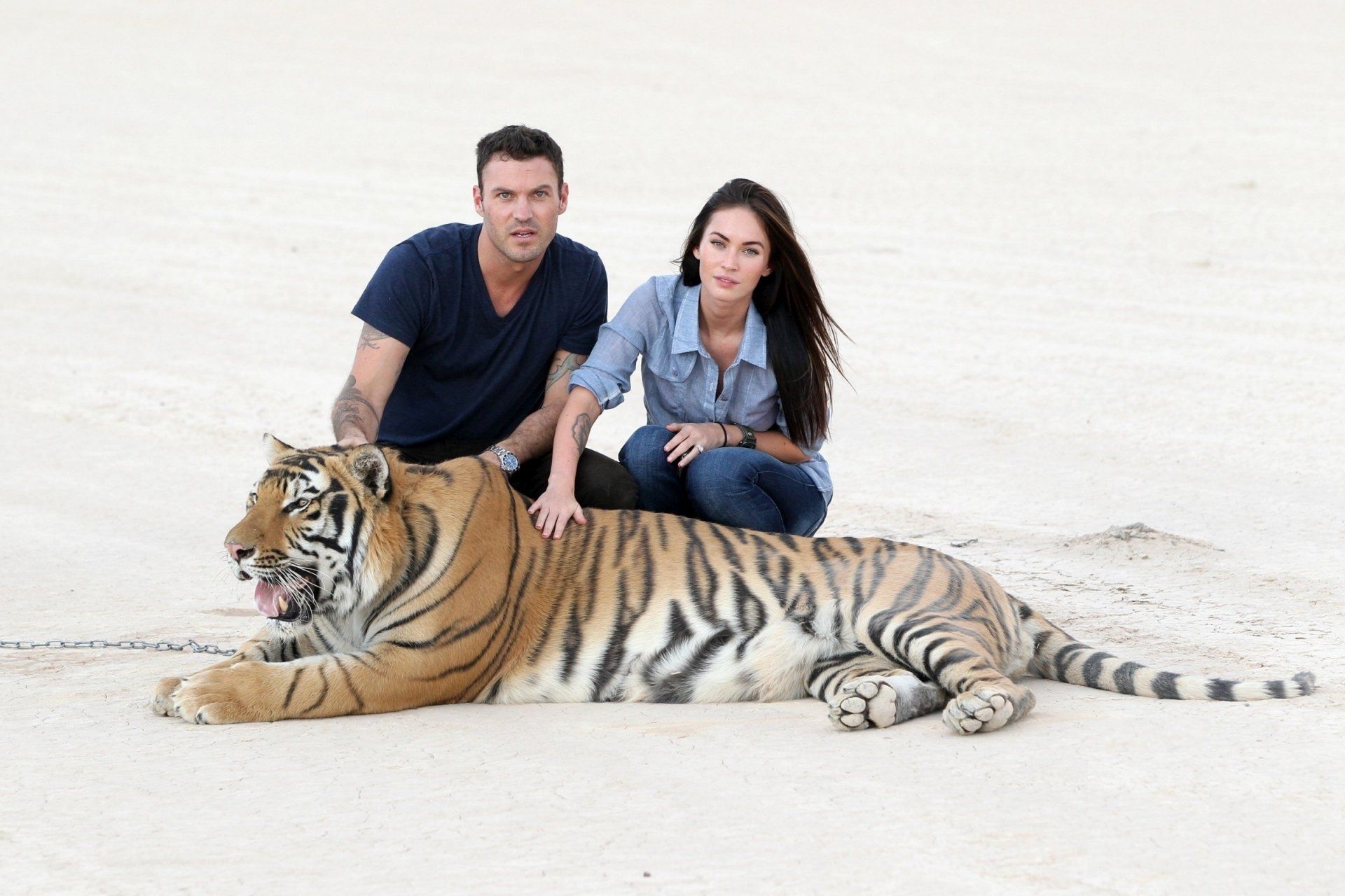 1920x1280 Celebrity Duo Brian and Megan with Majestic Tiger