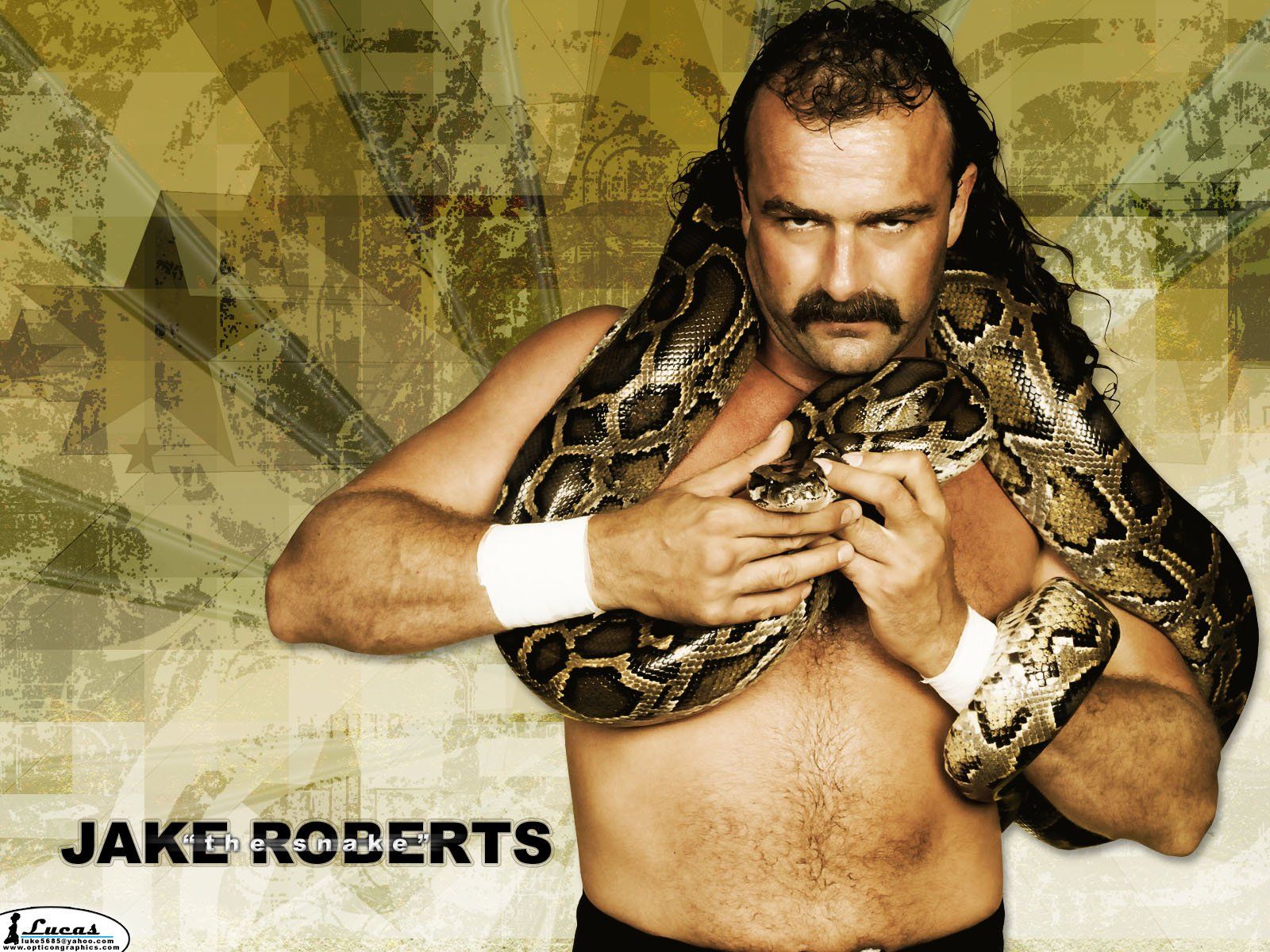 1600x1200 WWE Icon Jake Roberts HD Sports Wallpaperx1200
