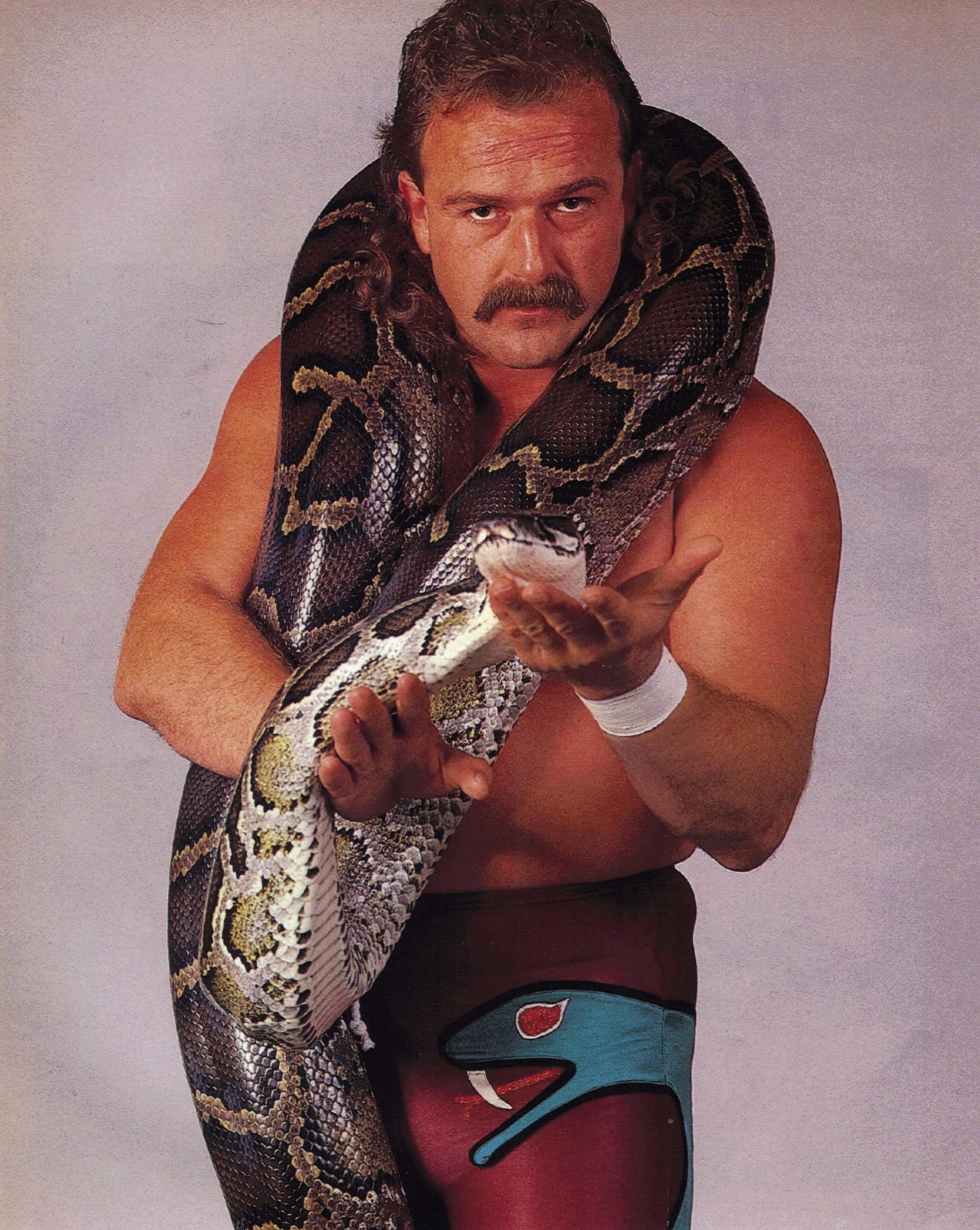 2373x2978 Download Jake Roberts Posing With A Python Wallpaper