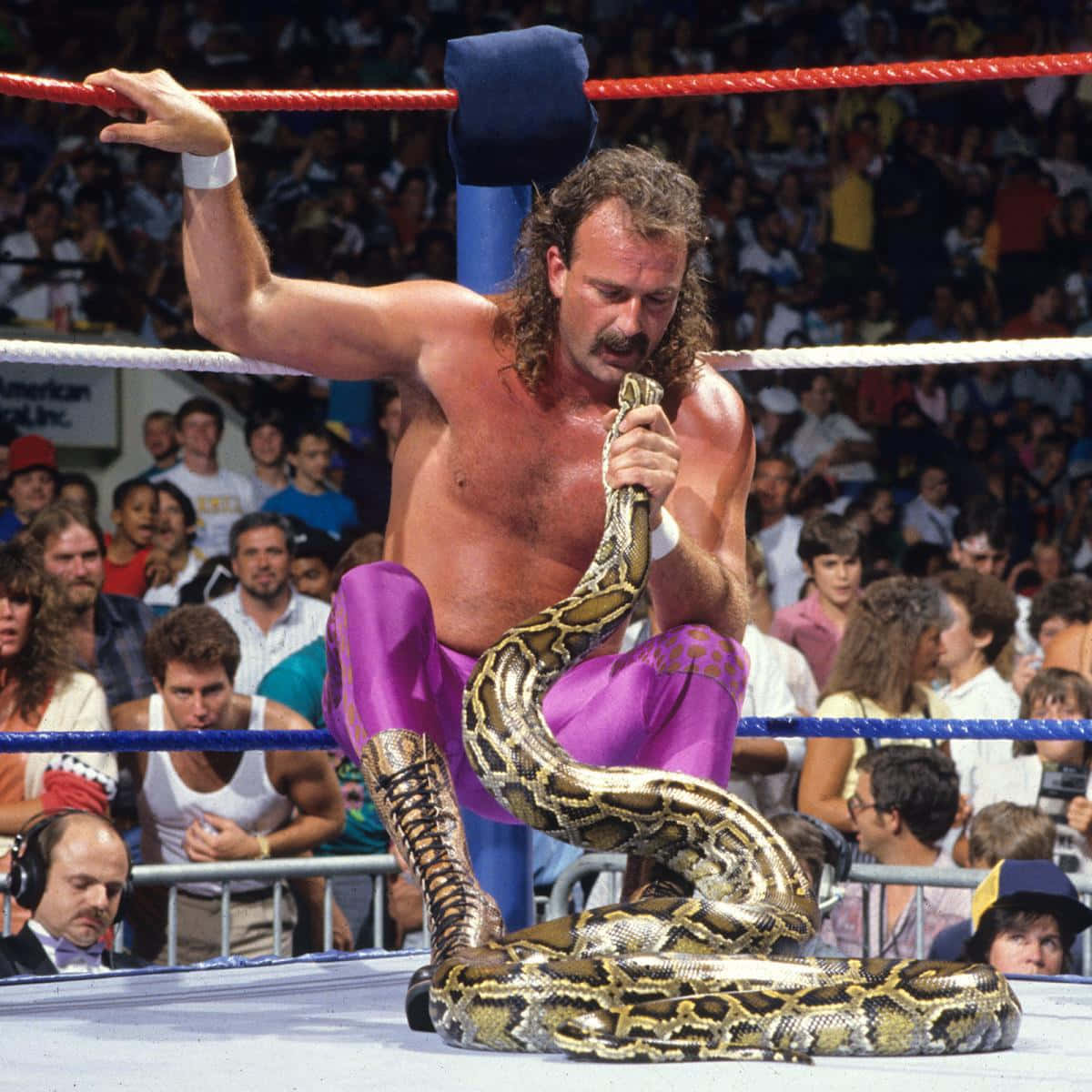 1200x1200 Download American Professional Wrestler Jake Roberts Staring At Damien Wallpaper
