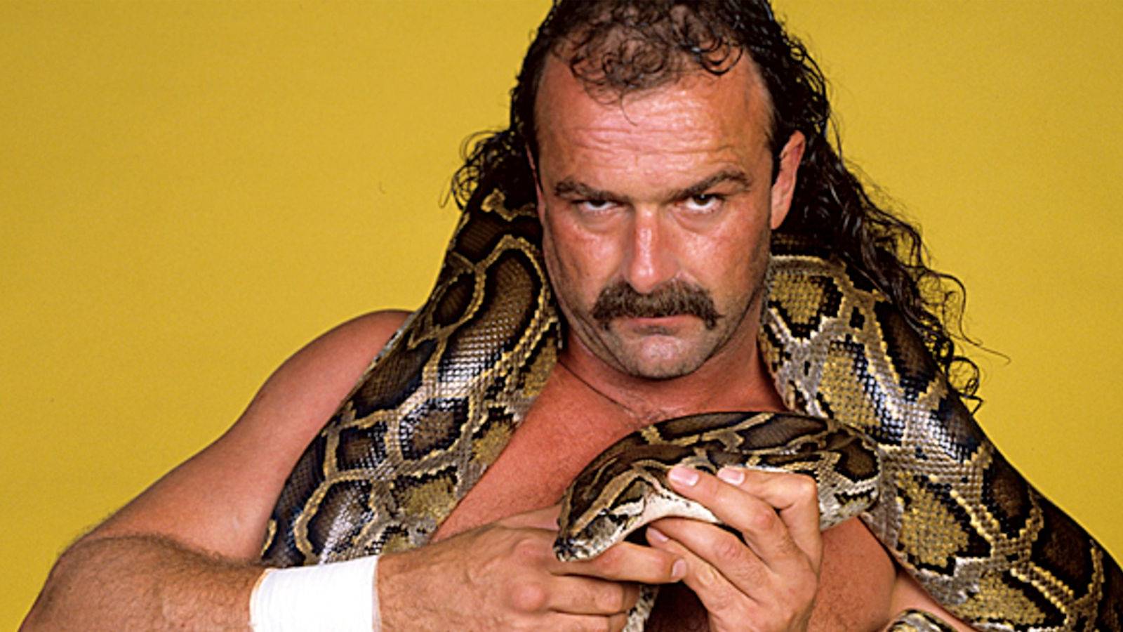 1600x900 The 10 Worst Things Jake The Snake Roberts Ever Did (In Wrestling)