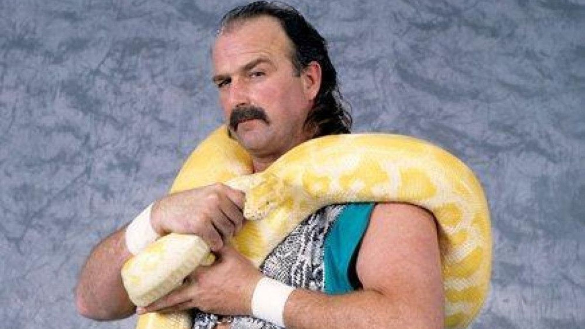 1920x1080 Jake Roberts Reveals Bizarre AEW Robots Pitch