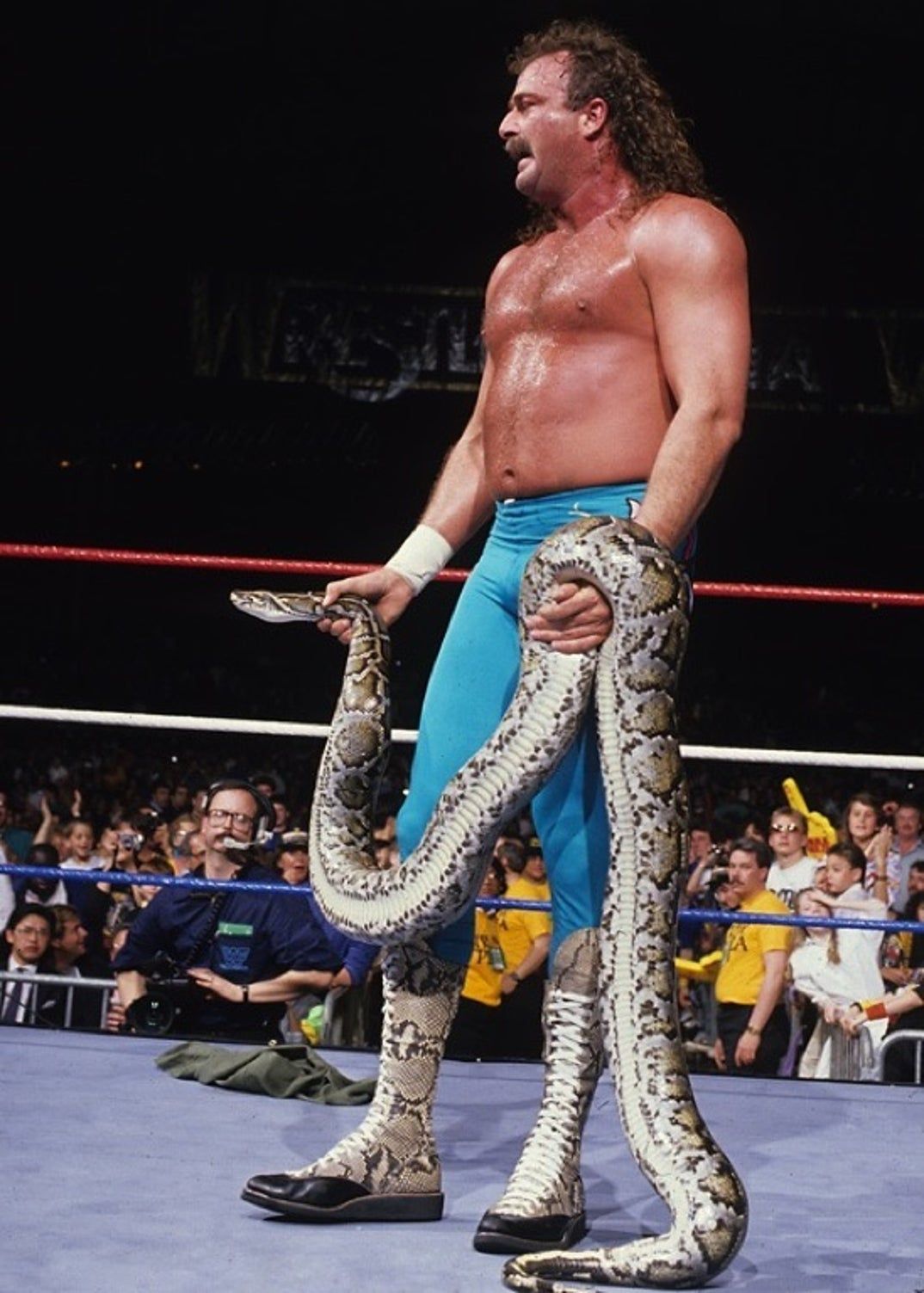 1074x1503 Jake The Snake Roberts - Get Well Soon
