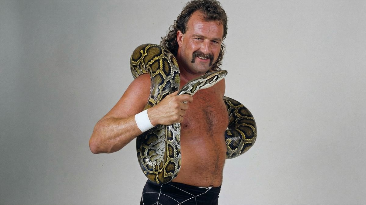 1200x675 WWE Hall Of Famer Jake Roberts Recovering After Surgery