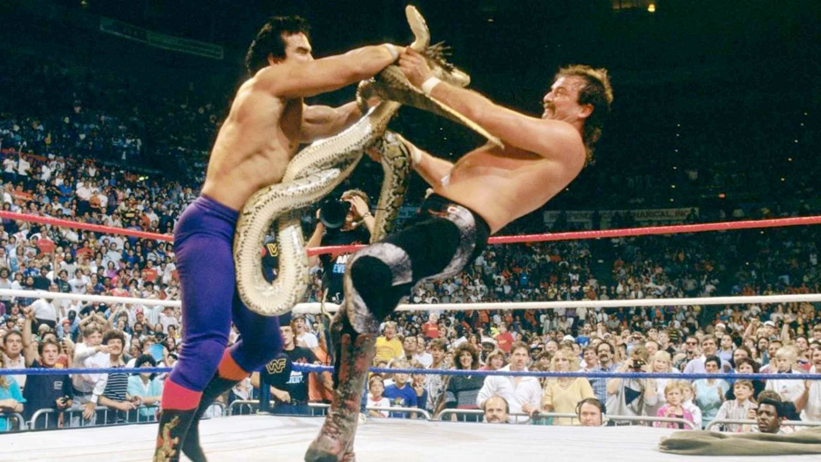 1600x900 Ricky Steamboat and Jake Roberts Epic Rivalry That Elevated A Snake and A Dragon