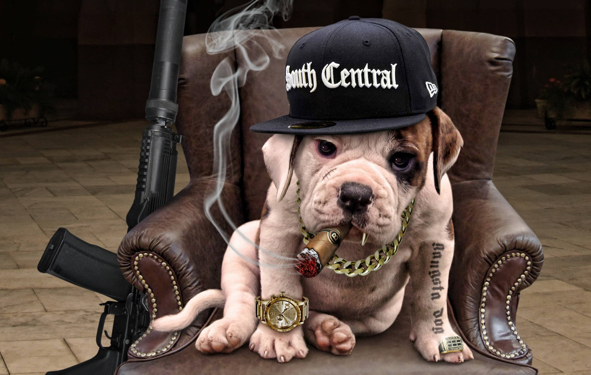 2048x1300 Download A Charming English Bulldog in a Relaxed Pose Wallpaper