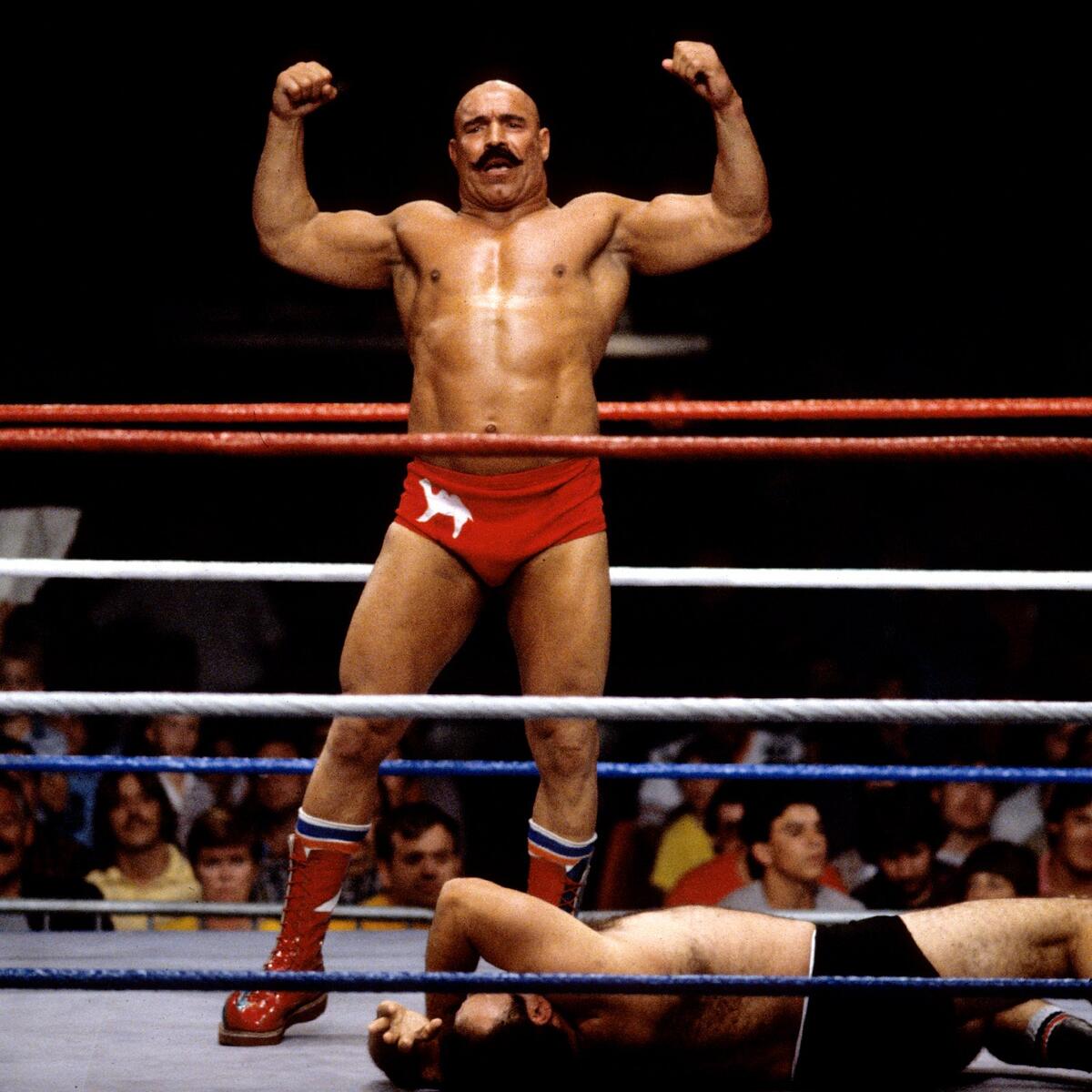 1200x1200 Remembering The Iron Sheik's Incredible Career: photoWWE