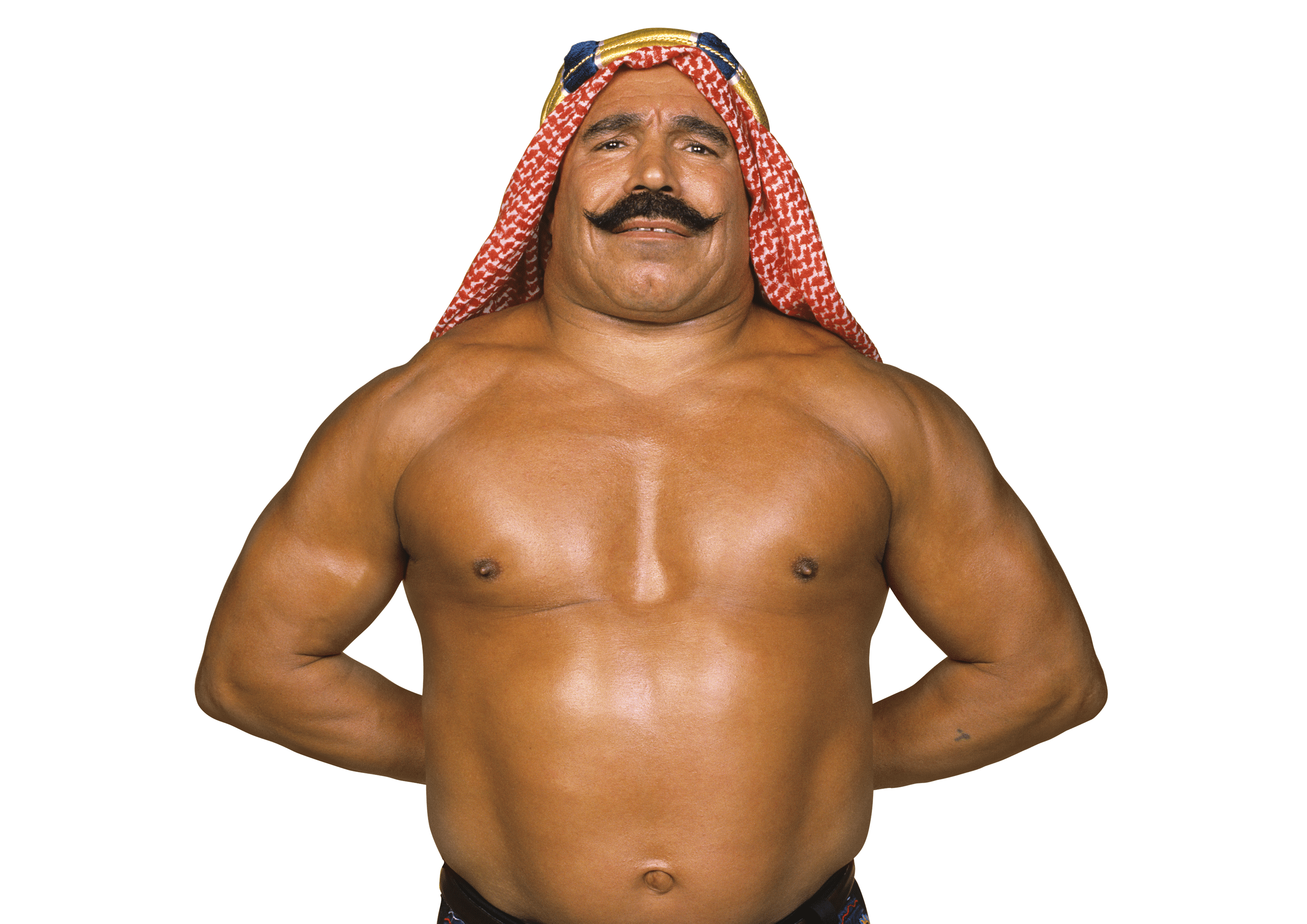 2940x2080 The Iron Sheik News, Rumors, & Updates