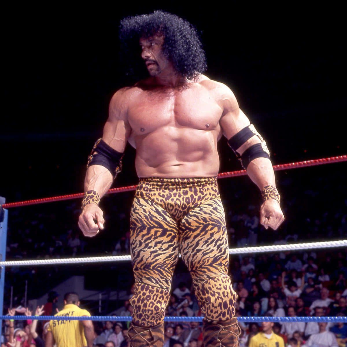 1200x1200 Download WWE Leopard Jimmy Snuka Wallpaper