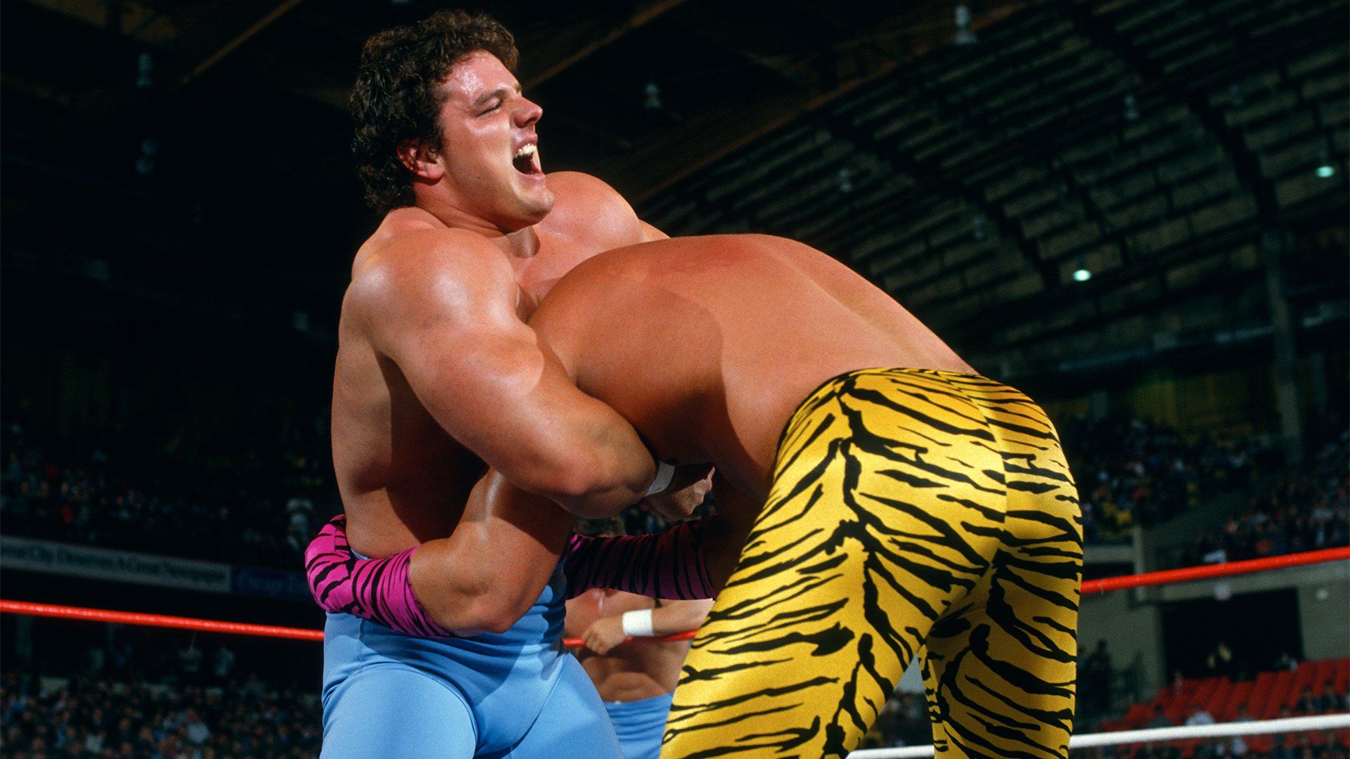 1920x1080 The British Bulldogs vs. The Dream Team