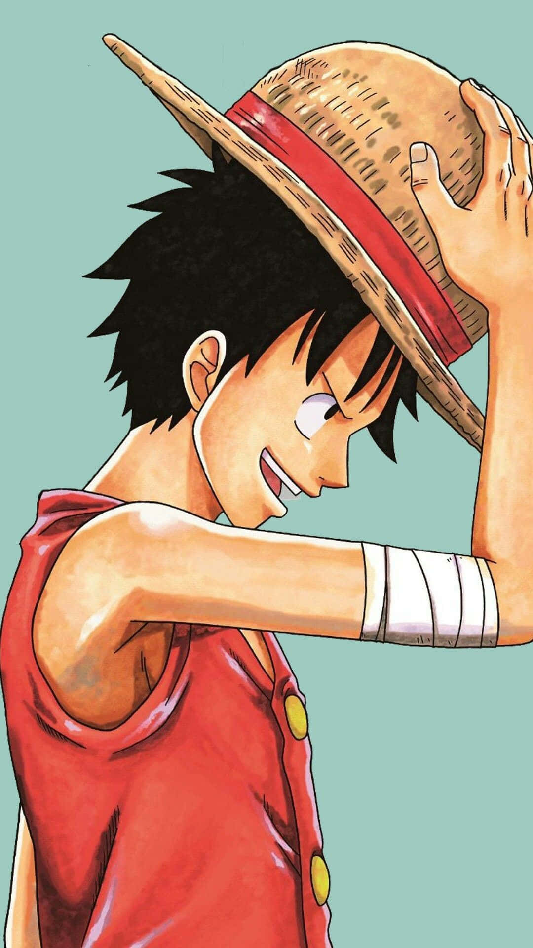 1080x1920 Download Side View Portrait One Piece Luffy iPhone Wallpaper