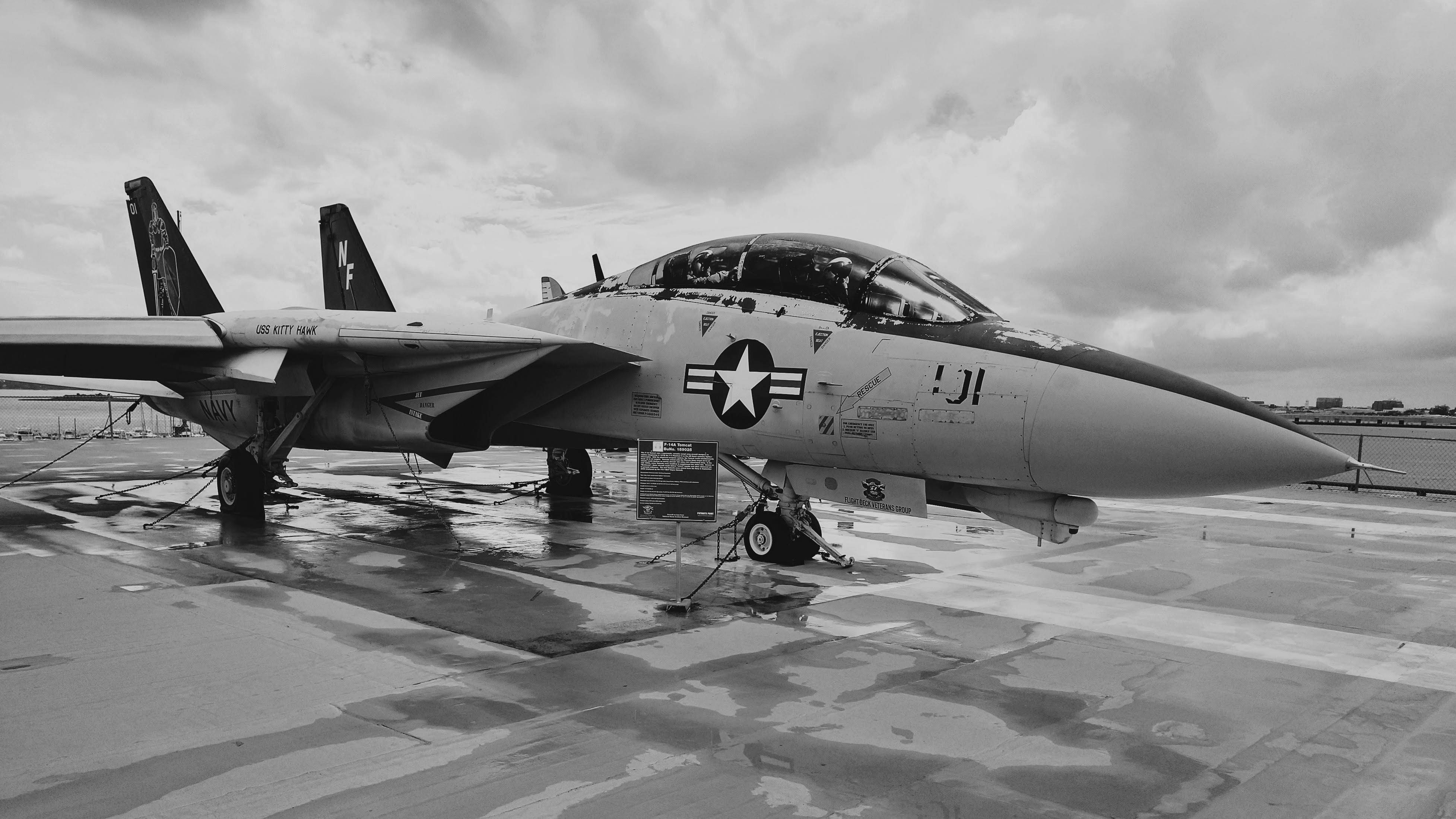 3909x2199 Download Majestic Fighter Plane in Black and White Wallpaper