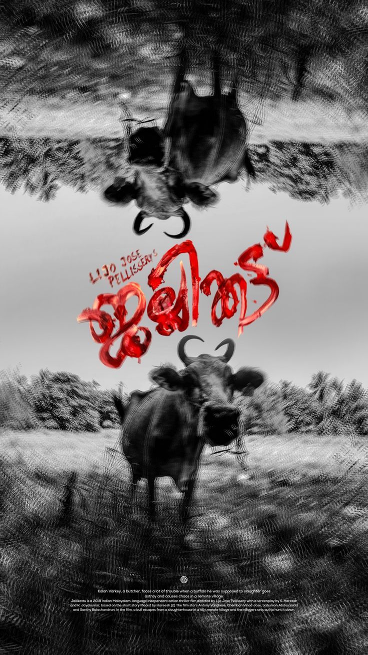 736x1308 Jallikattu