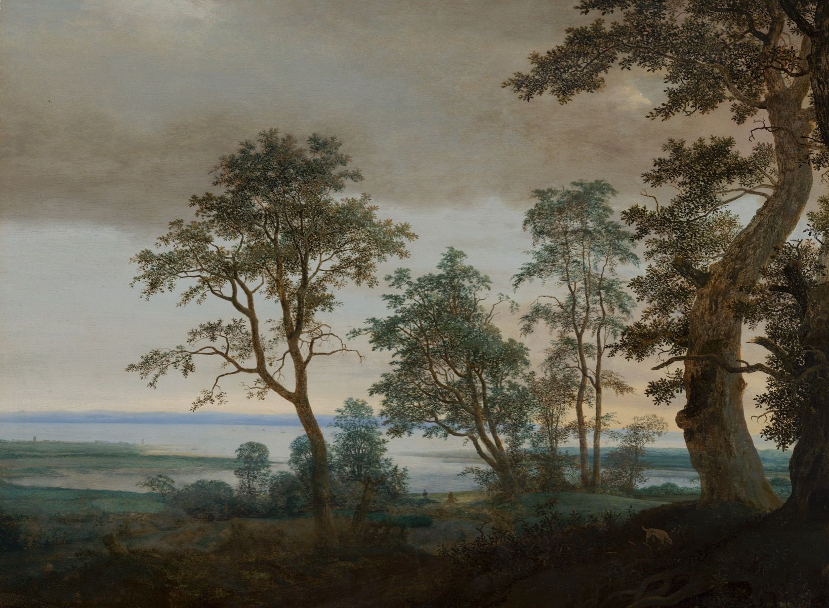 1638x1200 River landscape seen through trees