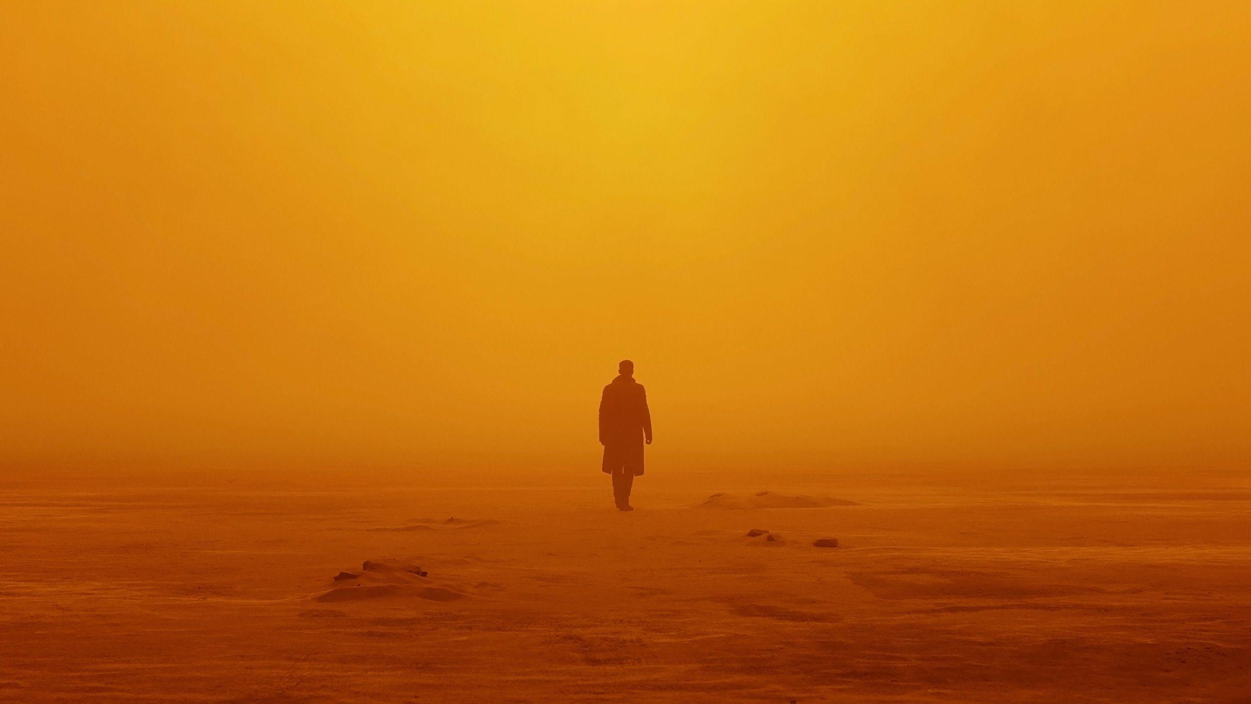 2560x1440 Wallpaper 4k Officer K Blade Runner 2049 Blade, Officer, Runner, Walls