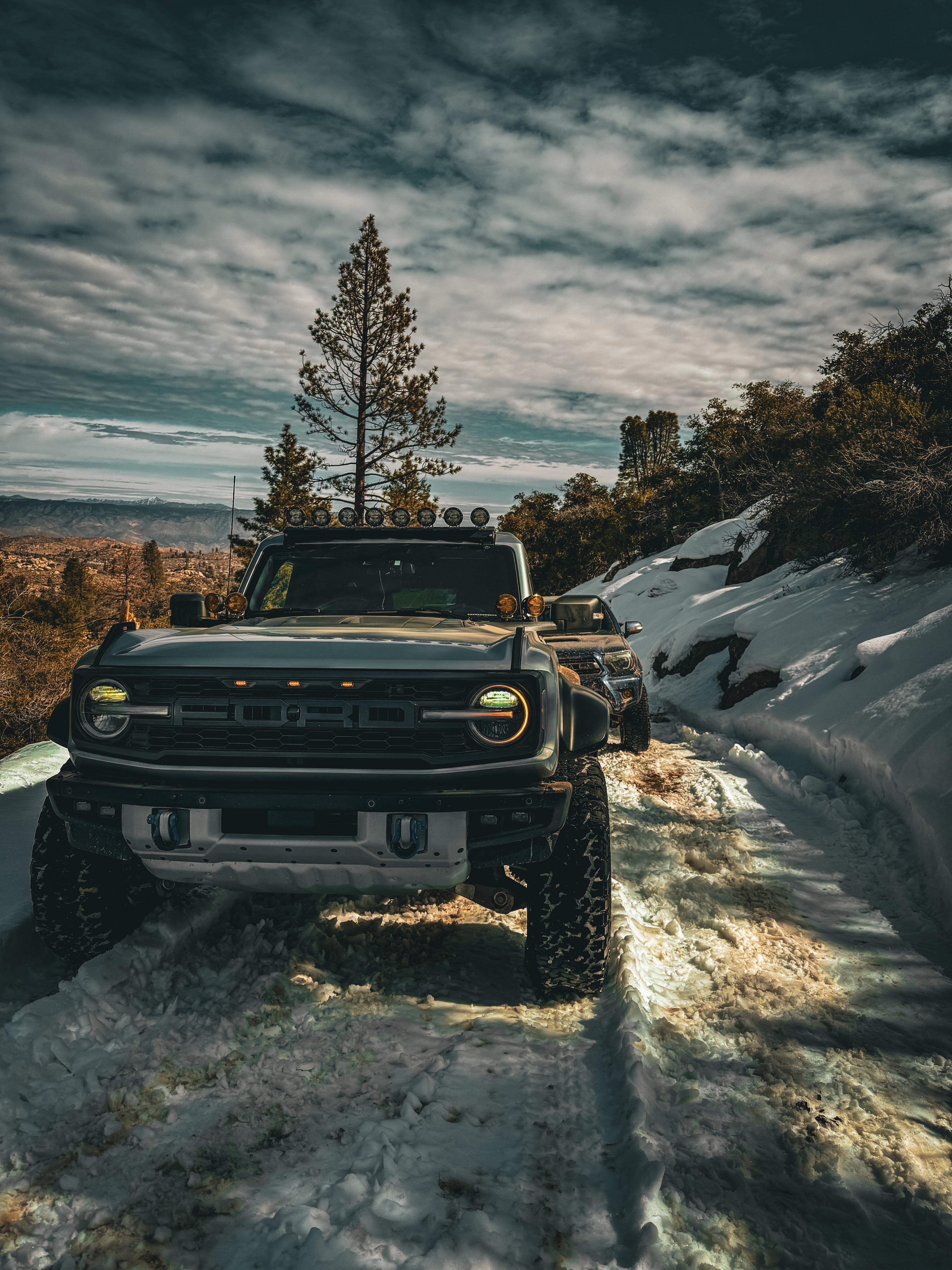 4284x5712 Raptor in the snow ❄️