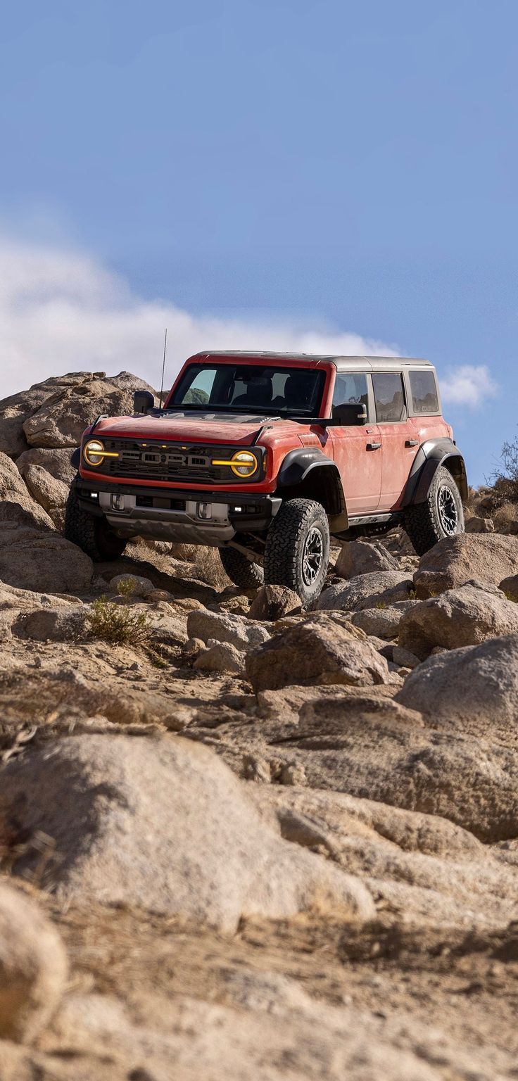 736x1536 Bronco Raptor