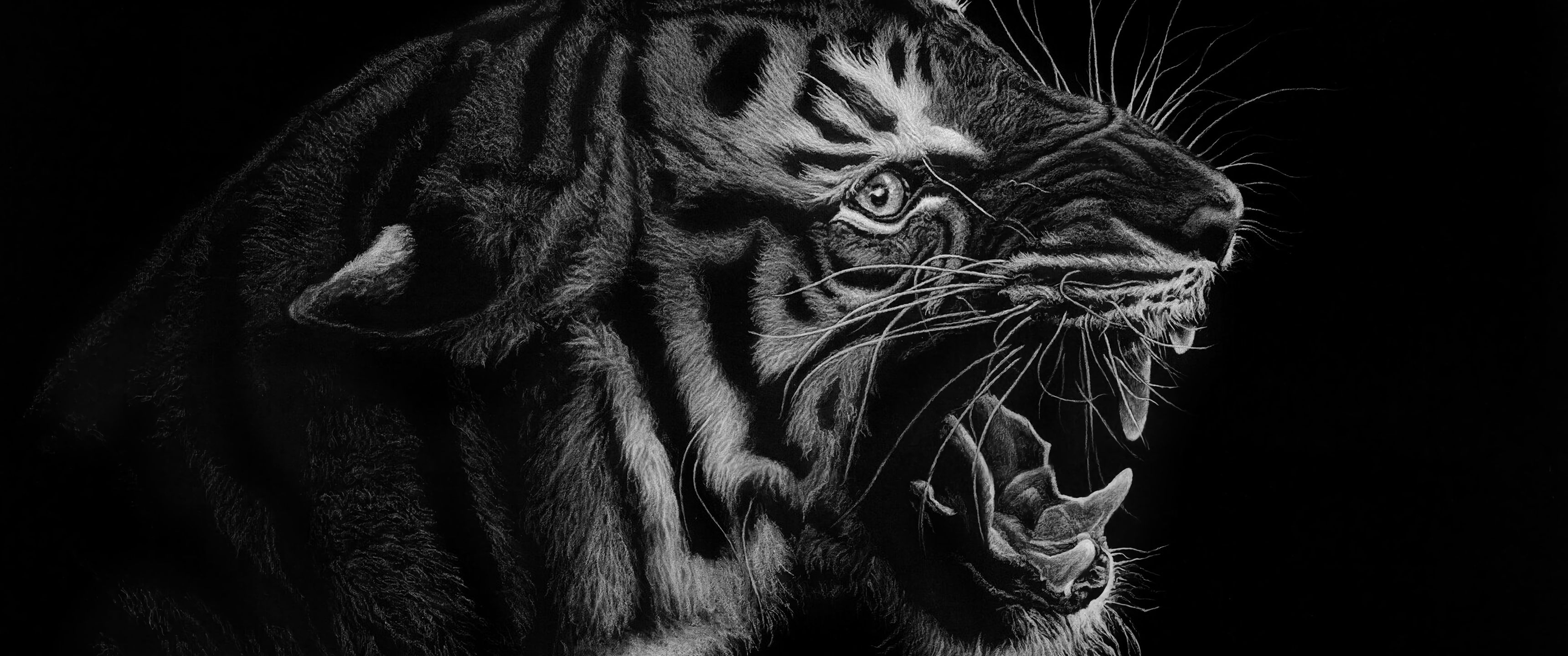 3440x1440 Download Tiger Wallpaper in 3440x1440 Resolution