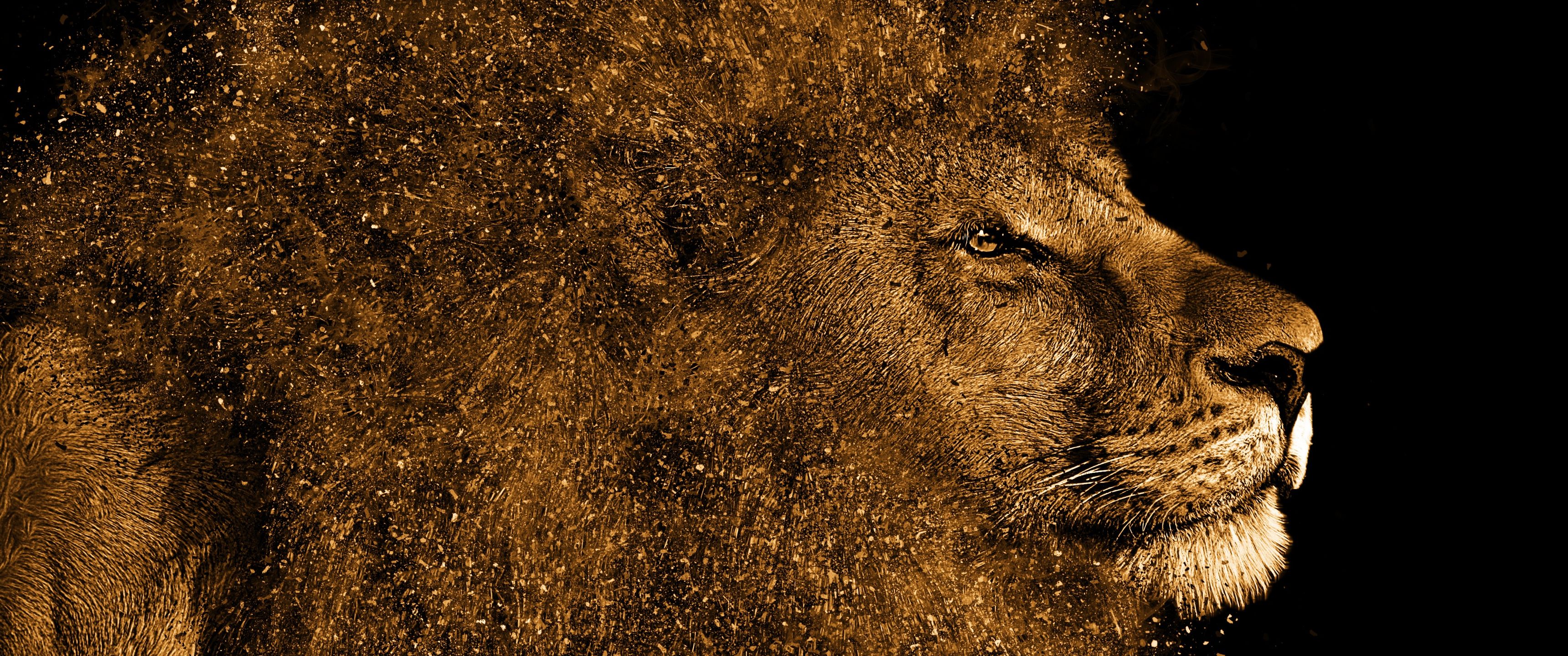3440x1440 Download A lion, Animals, Lion, Gold, Photohop, Black Wallpaper in 3440x1440 Resolution